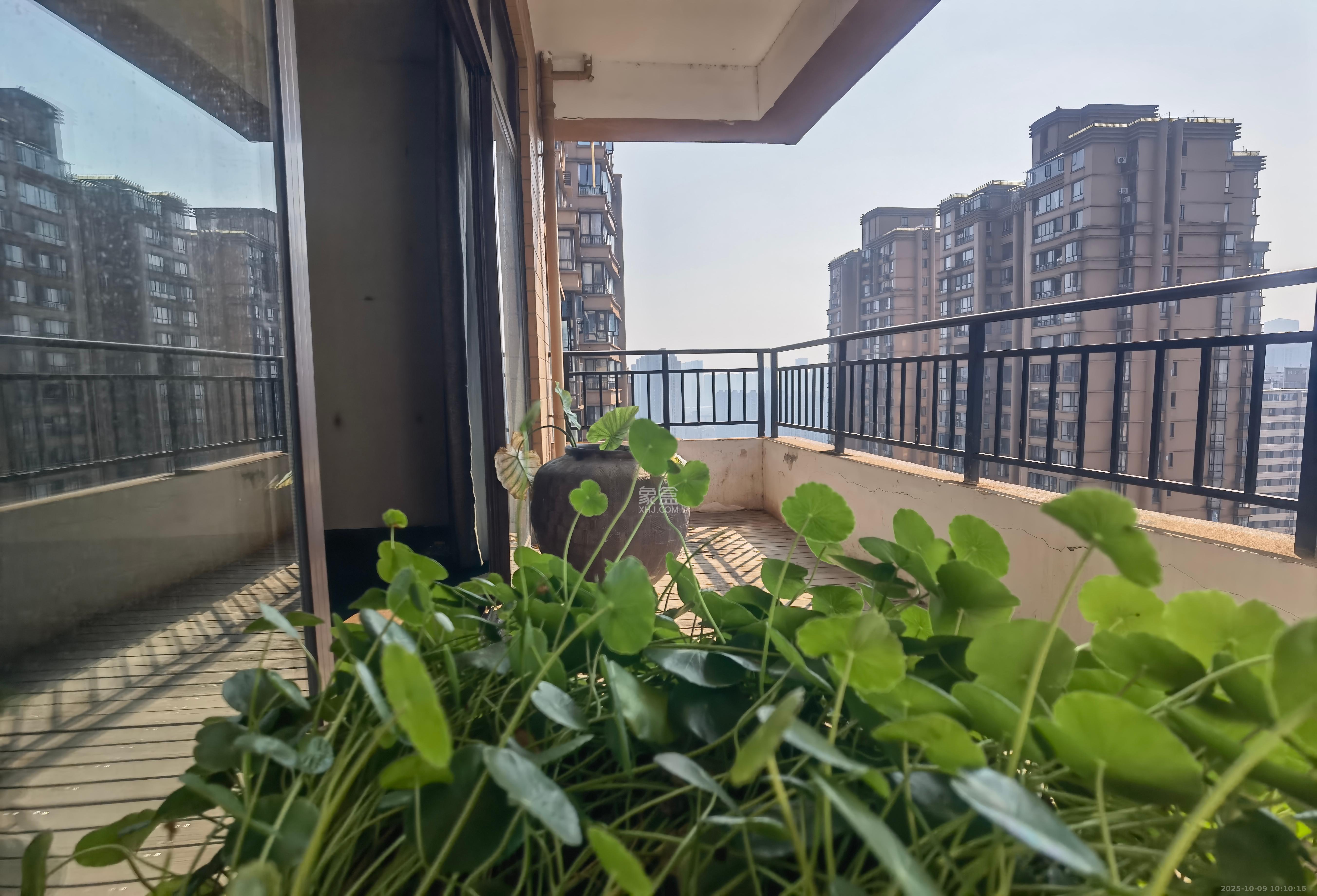 融科檀香山(融科紫檀、香山国际)  5室2厅3卫    5500.0元/月 融科檀香山(融科紫檀、香山国际)  5室2厅3卫    5500.0元/月室内图