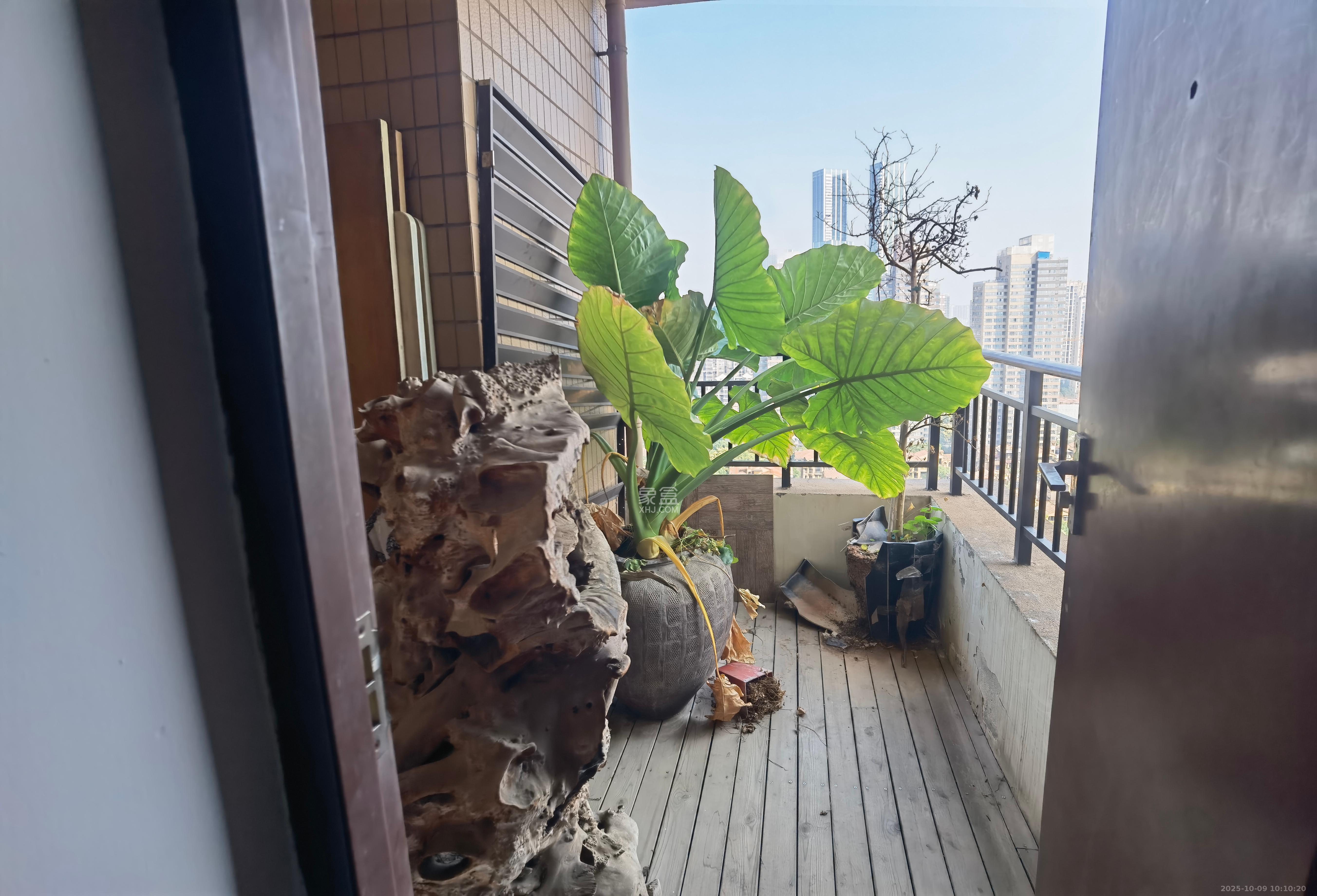 融科檀香山（融科紫檀、香山国际）  5室2厅3卫    5500.0元/月室内图