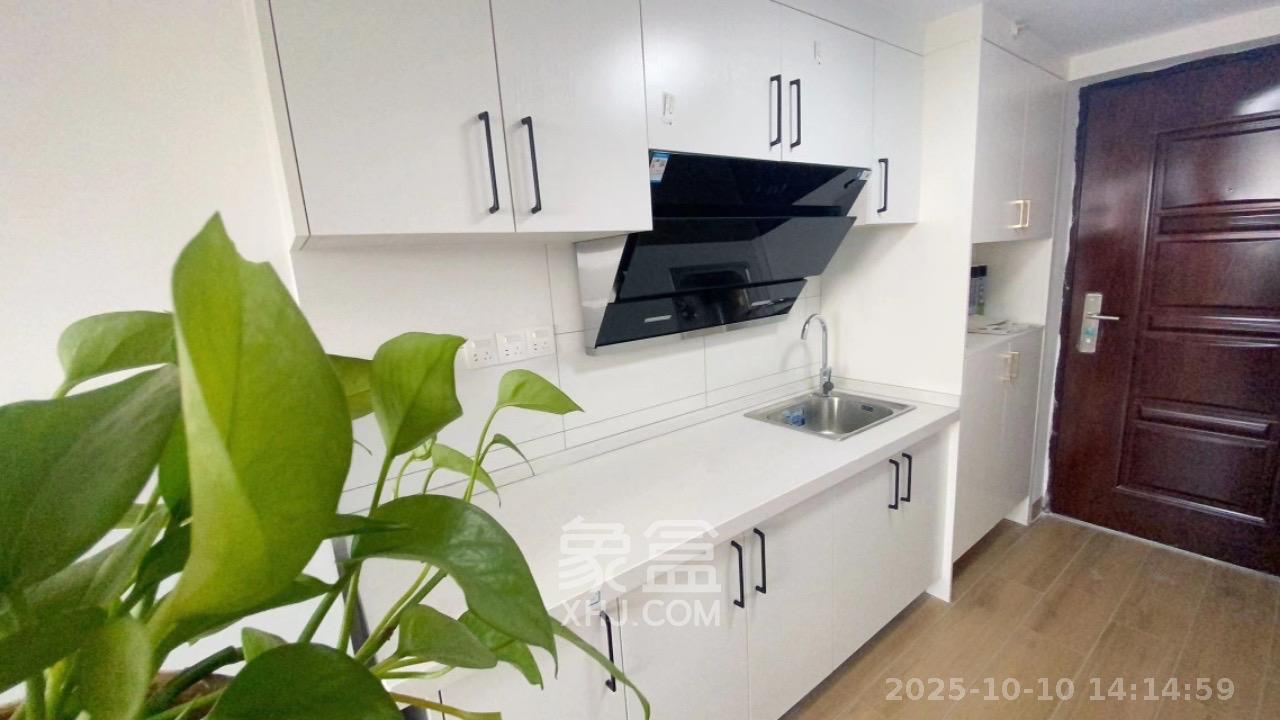 新长海D1站  1室1厅1卫    1500.0元/月室内图