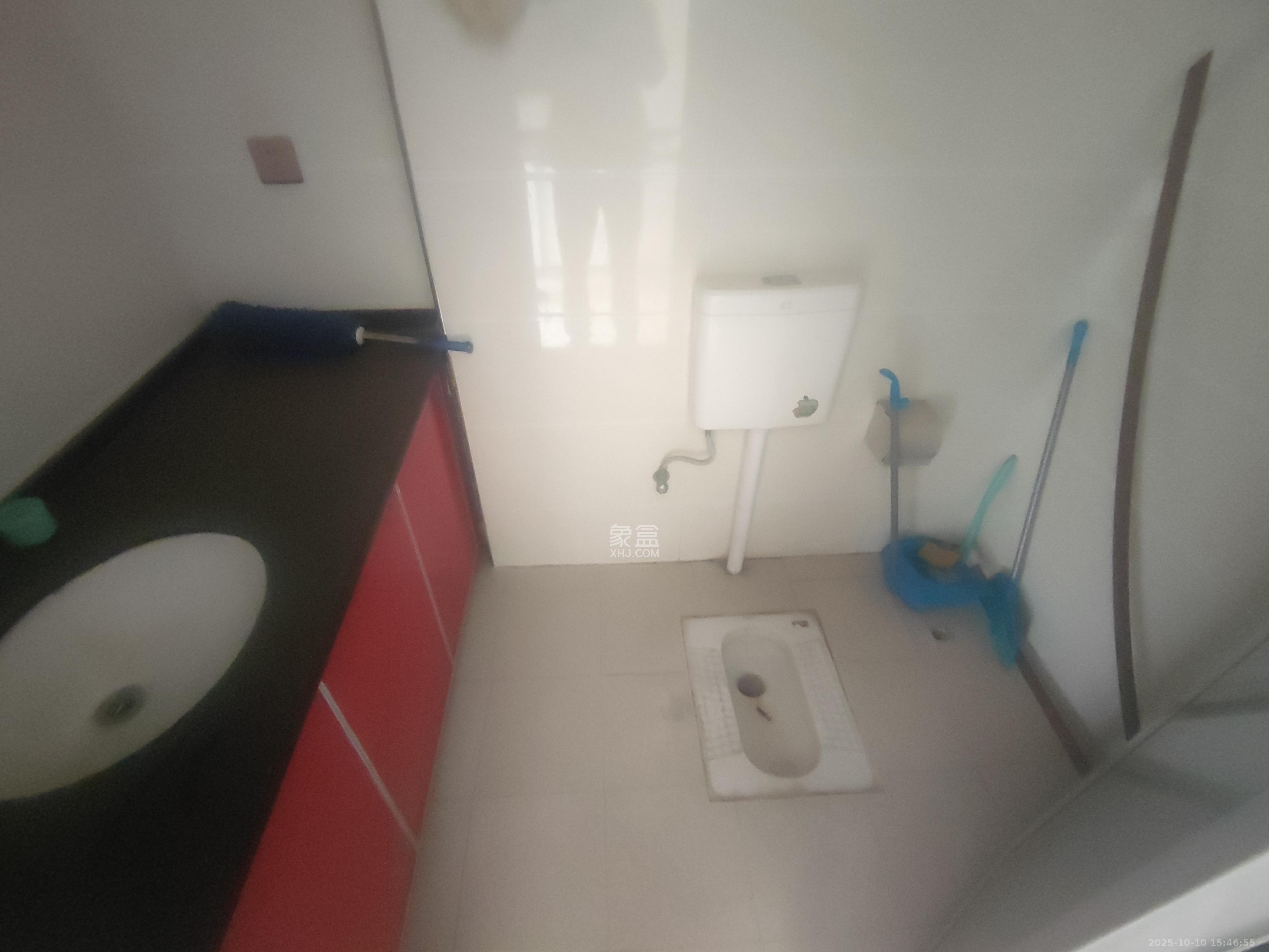 洋湖时代  1室1厅1卫    1300.0元/月室内图