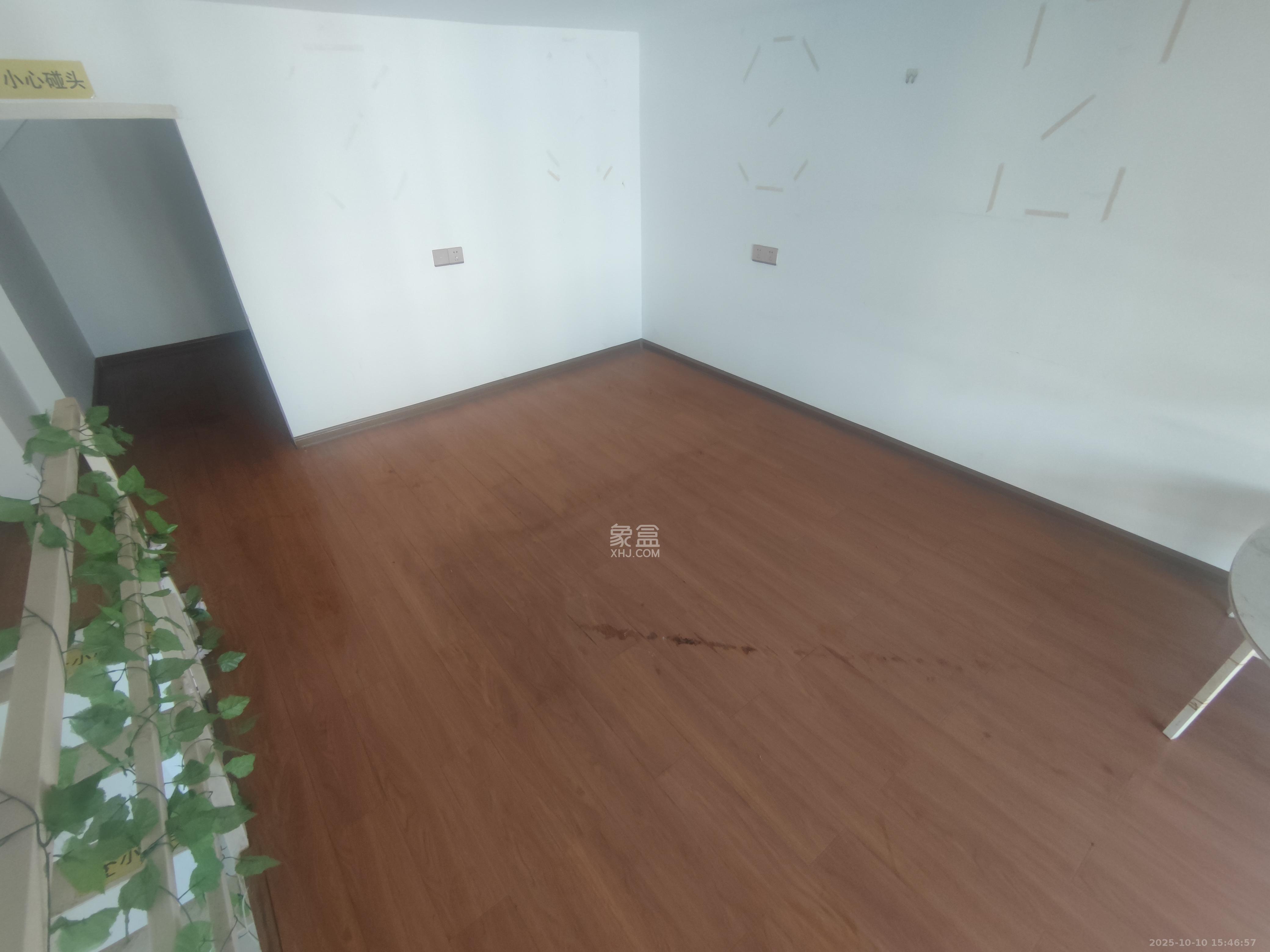 洋湖时代  1室1厅1卫    1300.0元/月室内图