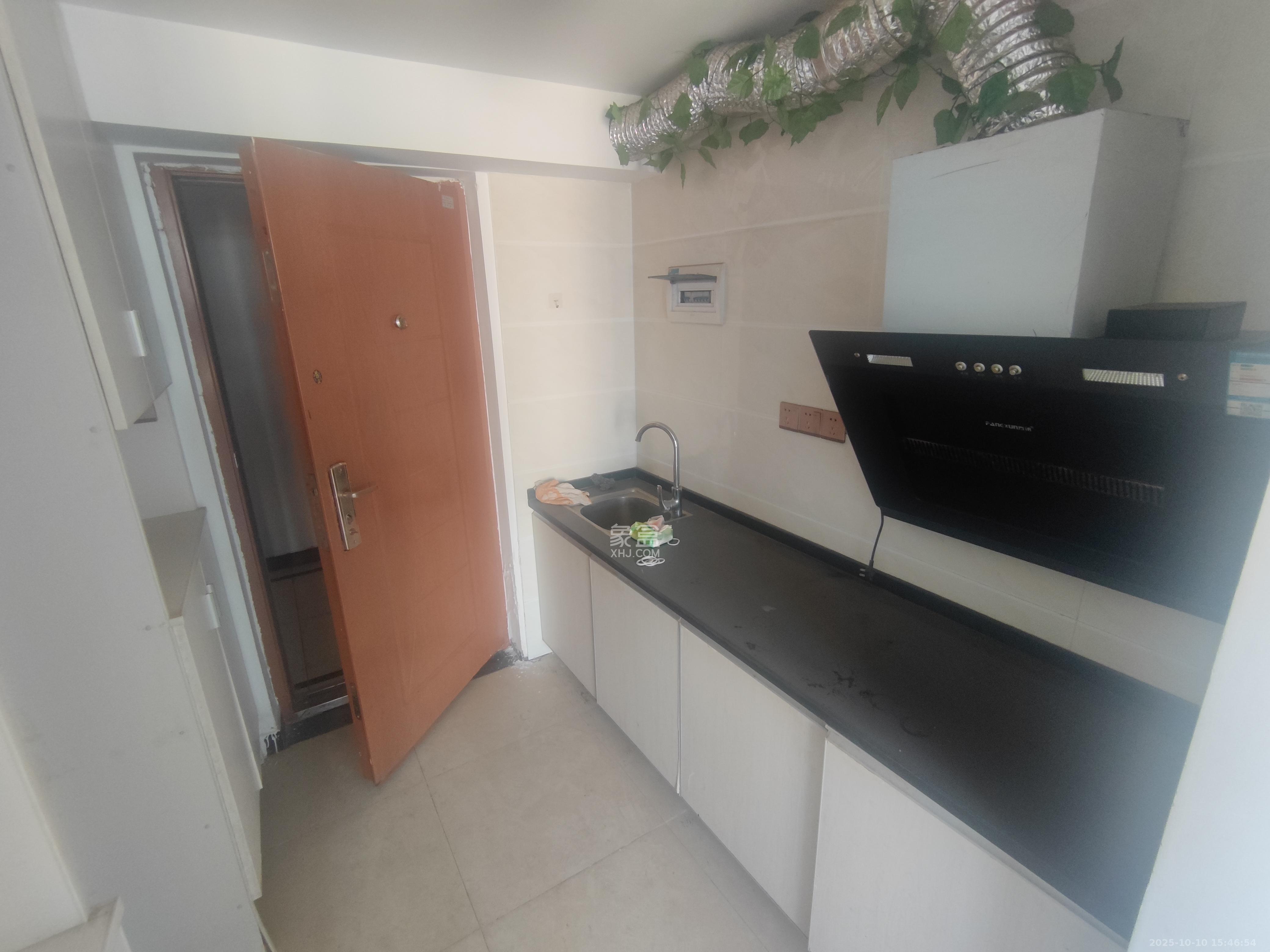 洋湖时代  1室1厅1卫    1300.0元/月室内图