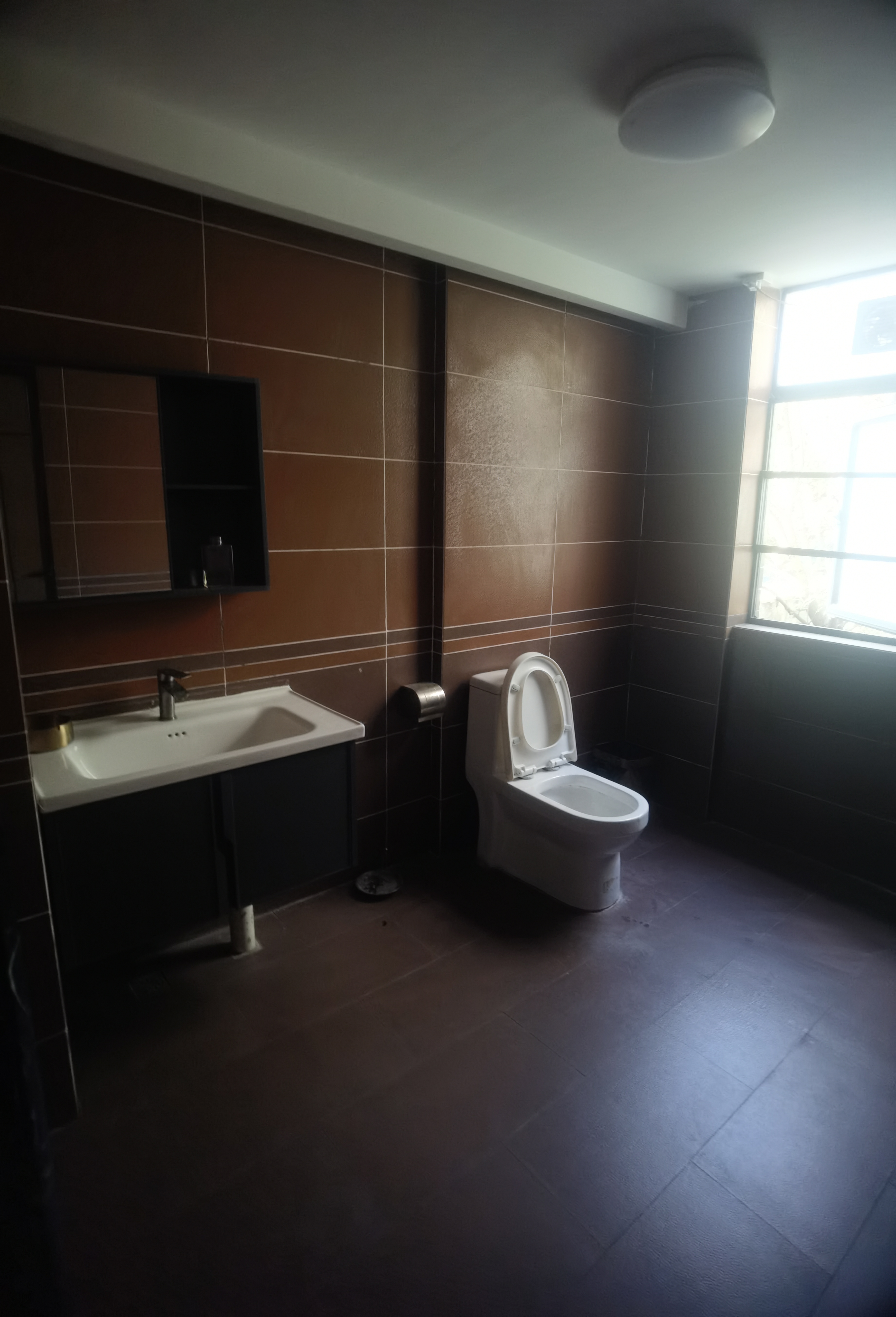 愉景湾西域  1室2厅2卫    4500.0元/月室内图