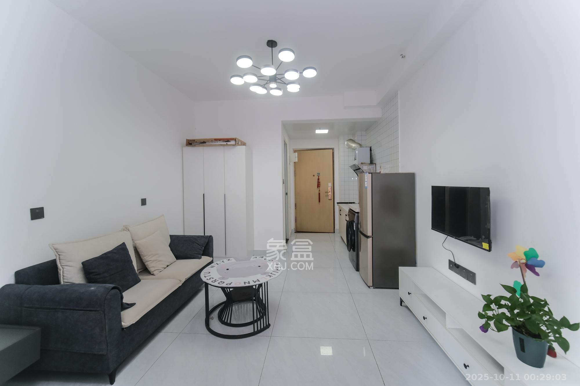 碧桂园翘楚棠  1室0厅0卫    19.8万客厅