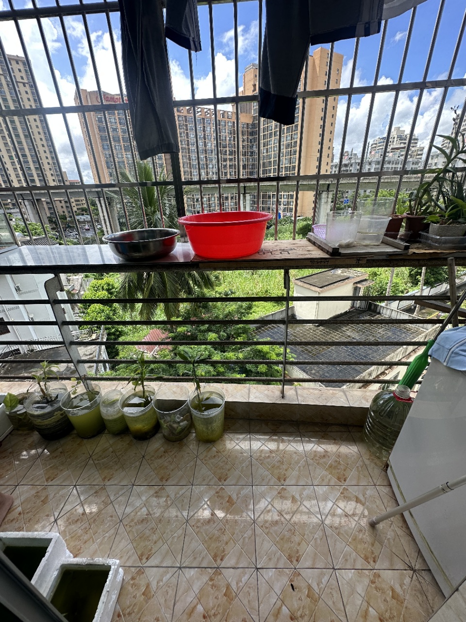 鸿禾公寓  2室2厅1卫    59.0万室内图