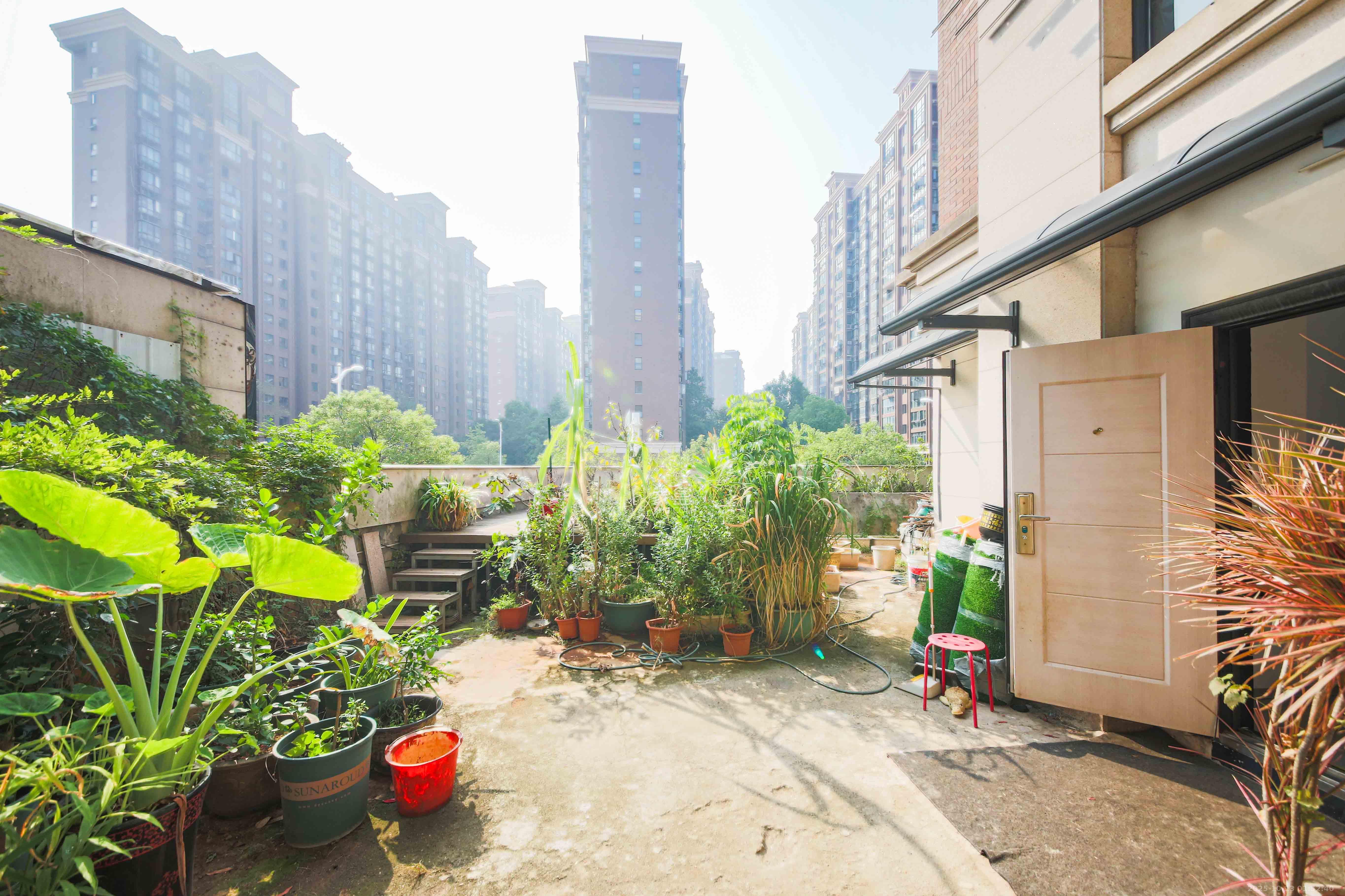 奥林匹克花园  2室1厅1卫    95.0万其他