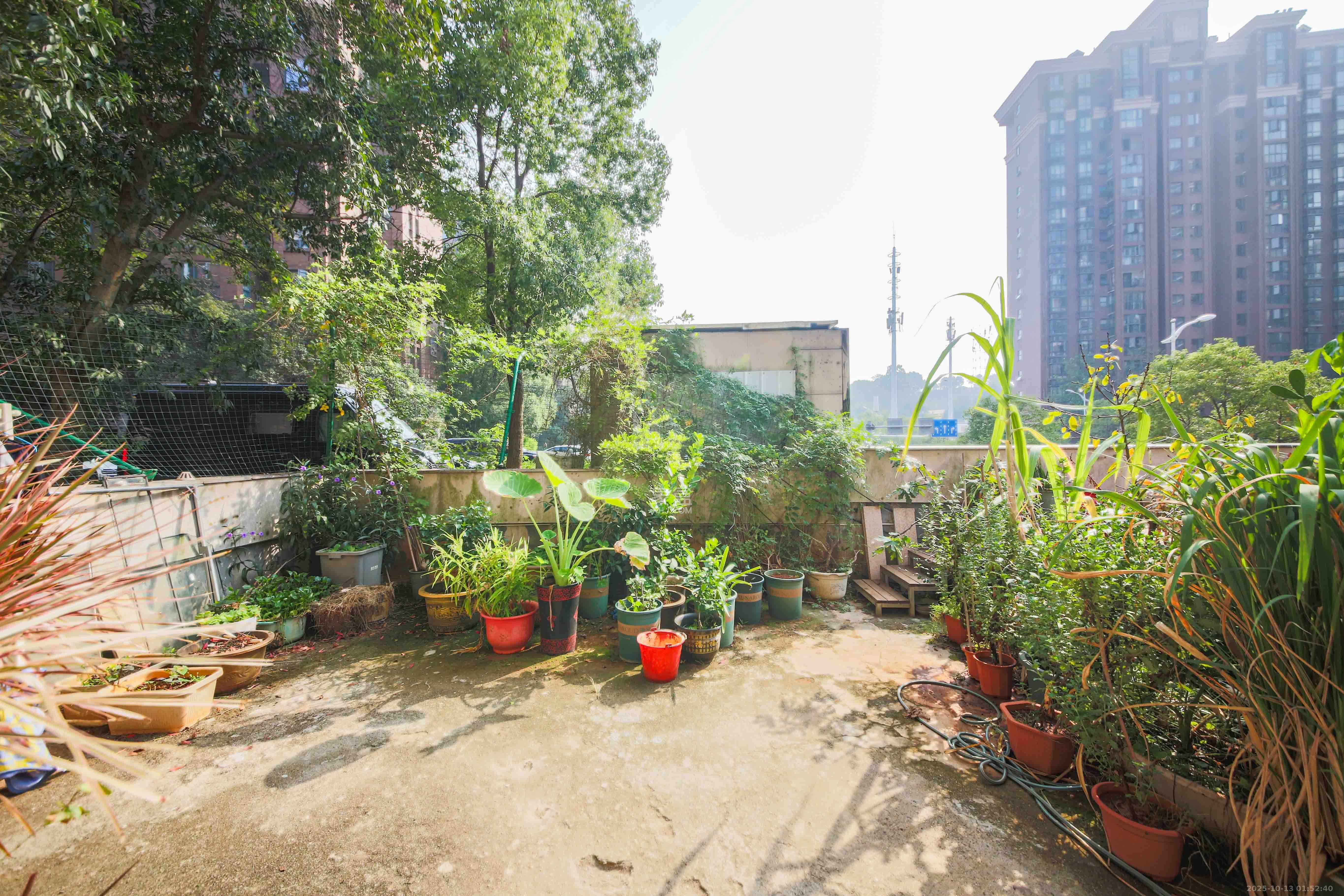 奥林匹克花园  2室1厅1卫    95.0万其他