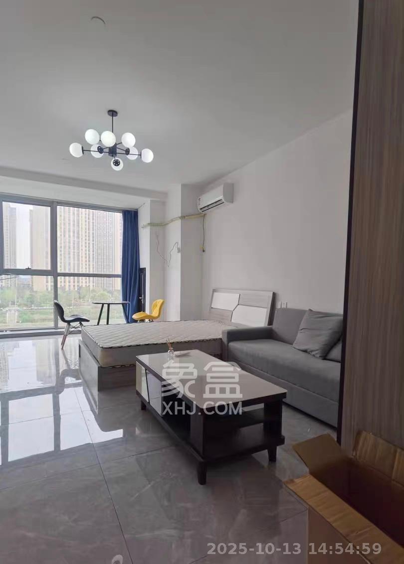 奥克斯滨仕花园（奥克斯洋湖广场/奥克斯中心）  1室0厅0卫    1700.0元/月