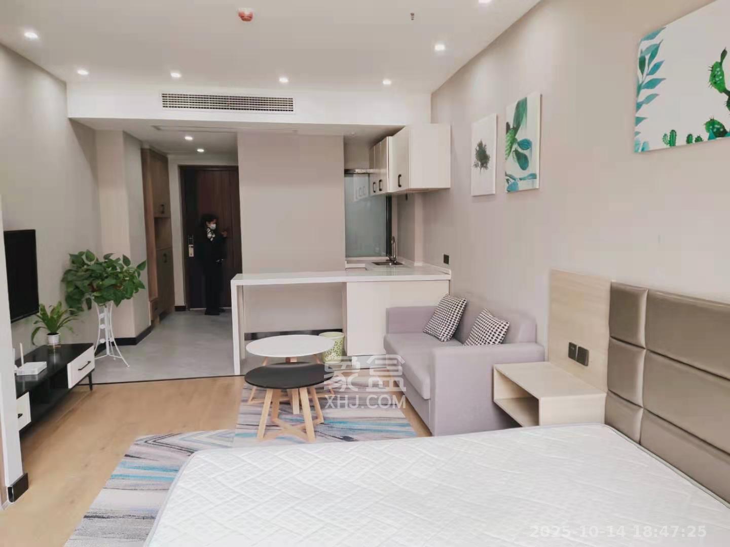 公园9号大都会  1室1厅1卫    2100.0元/月室内图