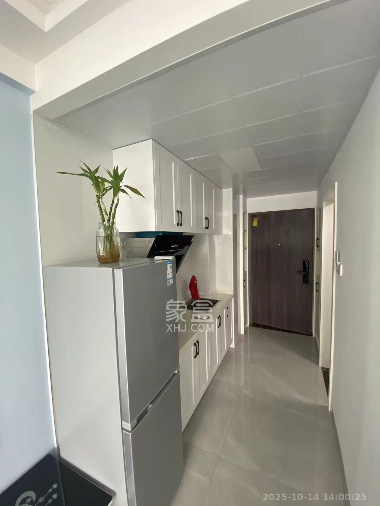 龙湖湘江星座（祺鑫星座公寓）  1室1厅1卫    1600.0元/月