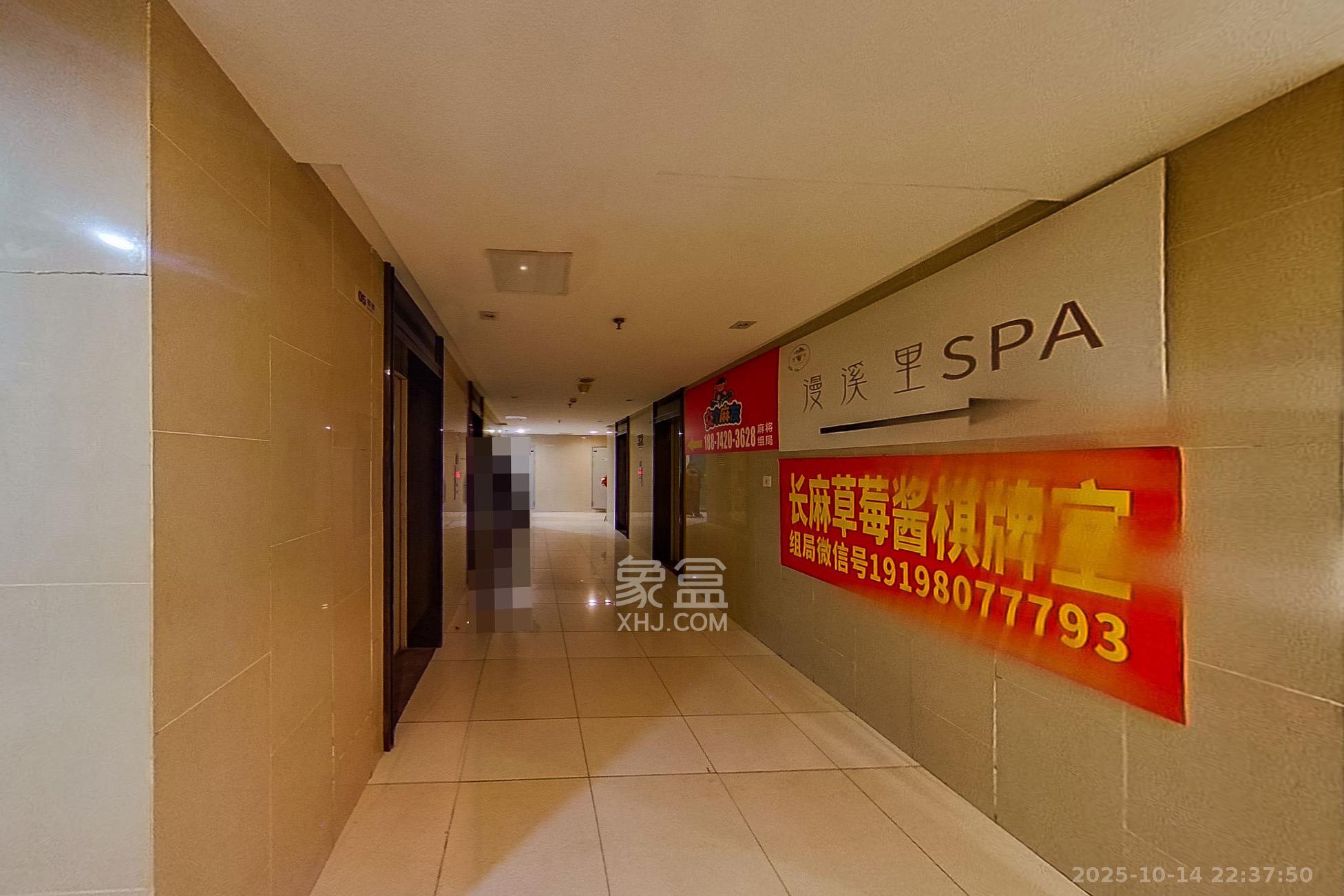 北辰三角洲B1E1区  2室1厅1卫    85.0万其他