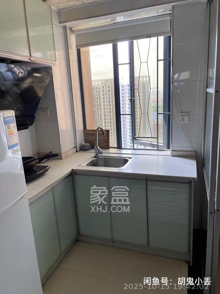 爱都（IDO）  1室1厅1卫    1000.0元/月室内图