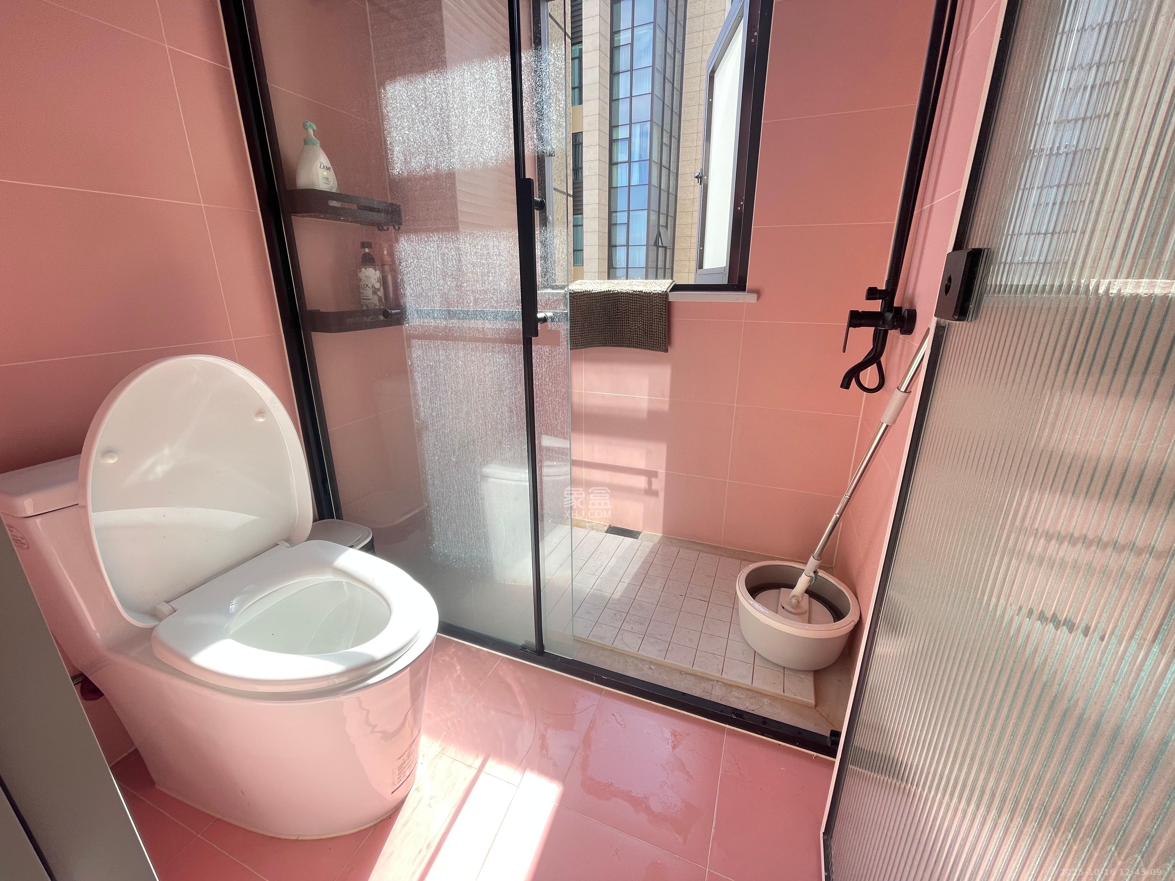 公园9号大都会  1室0厅0卫    4600.0元/月室内图