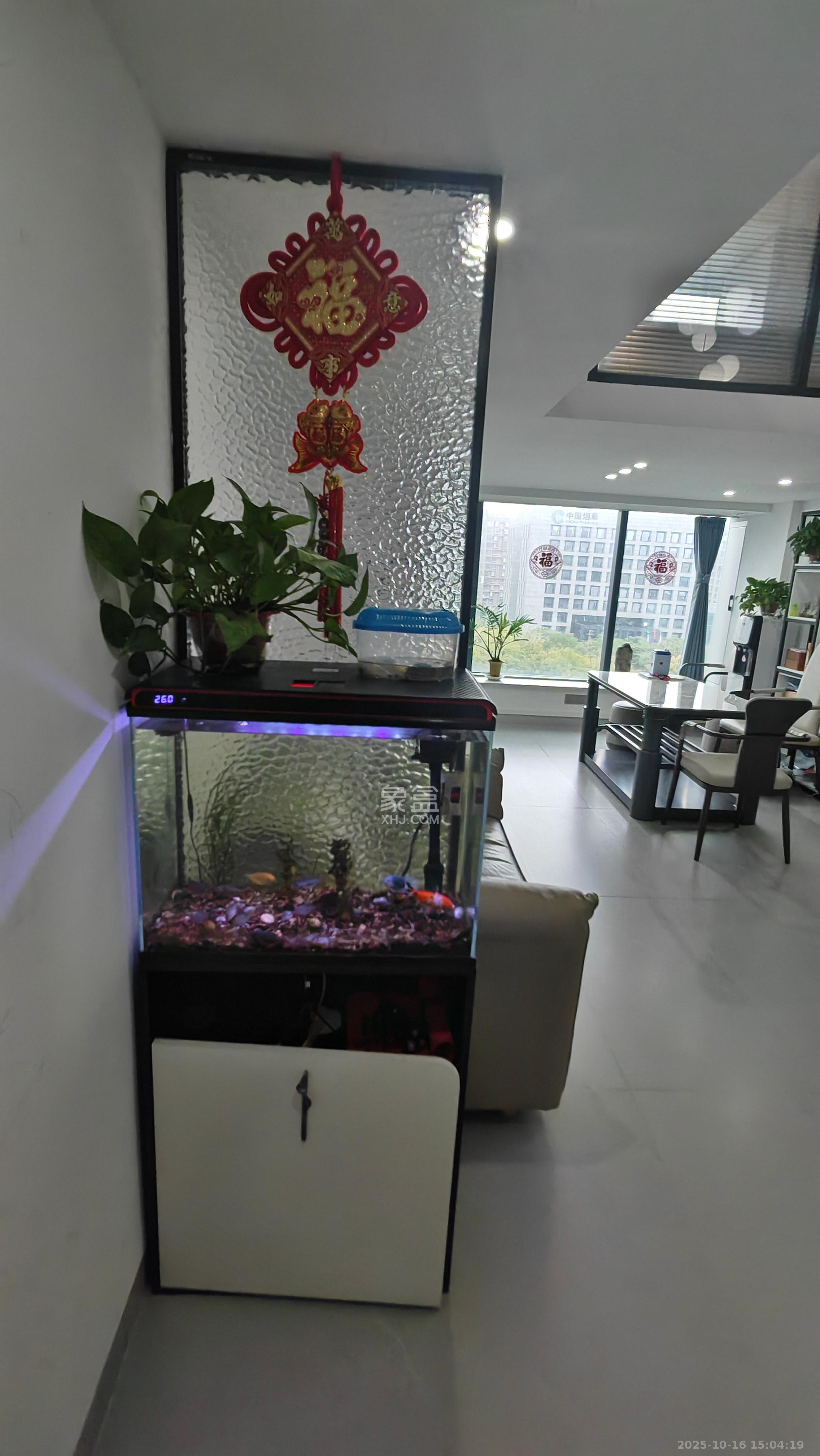 京武浪琴山三期（京武中心）  2室1厅1卫    3000.0元/月室内图