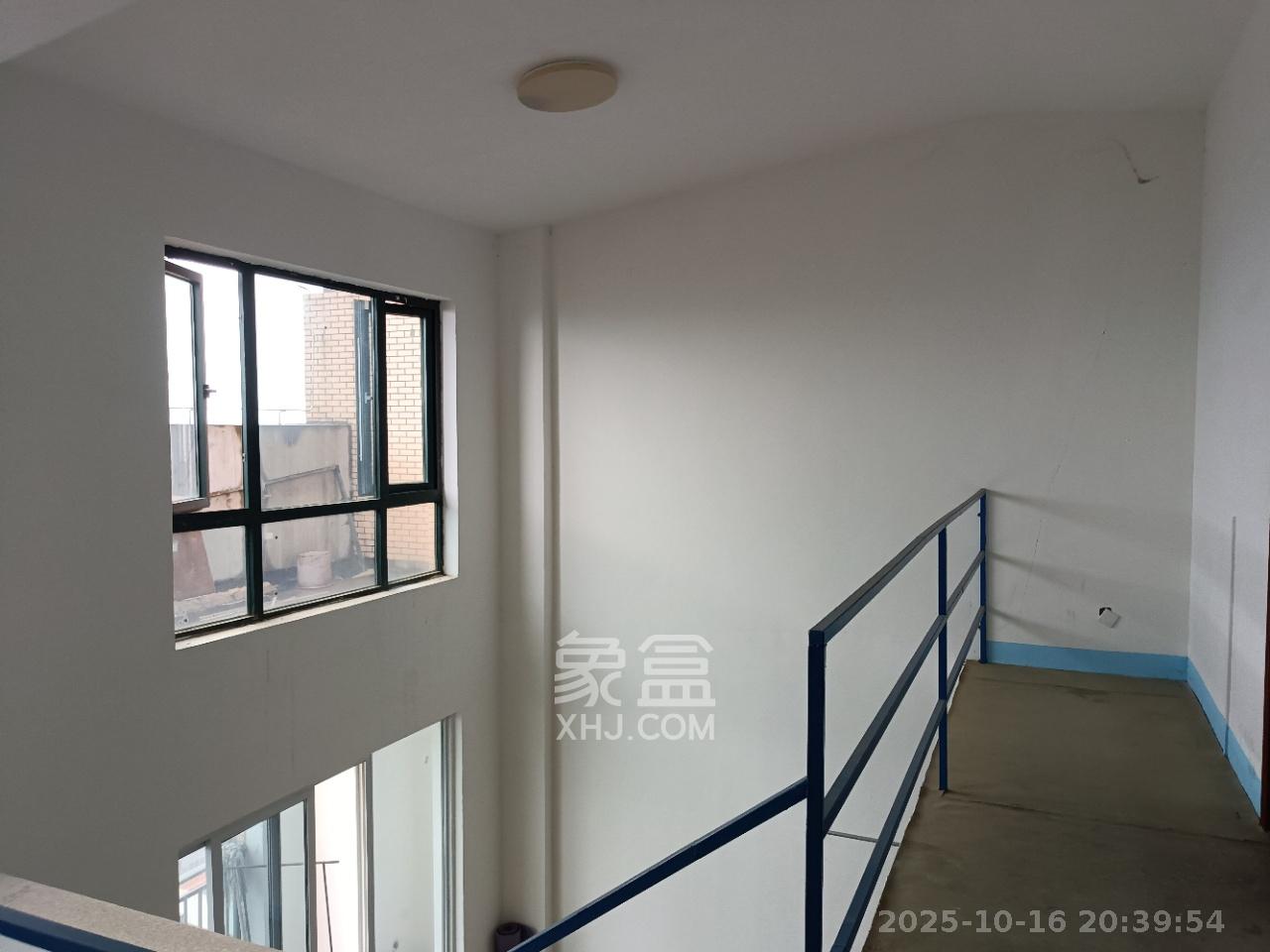 丽发新城  5室2厅2卫    2700.0元/月