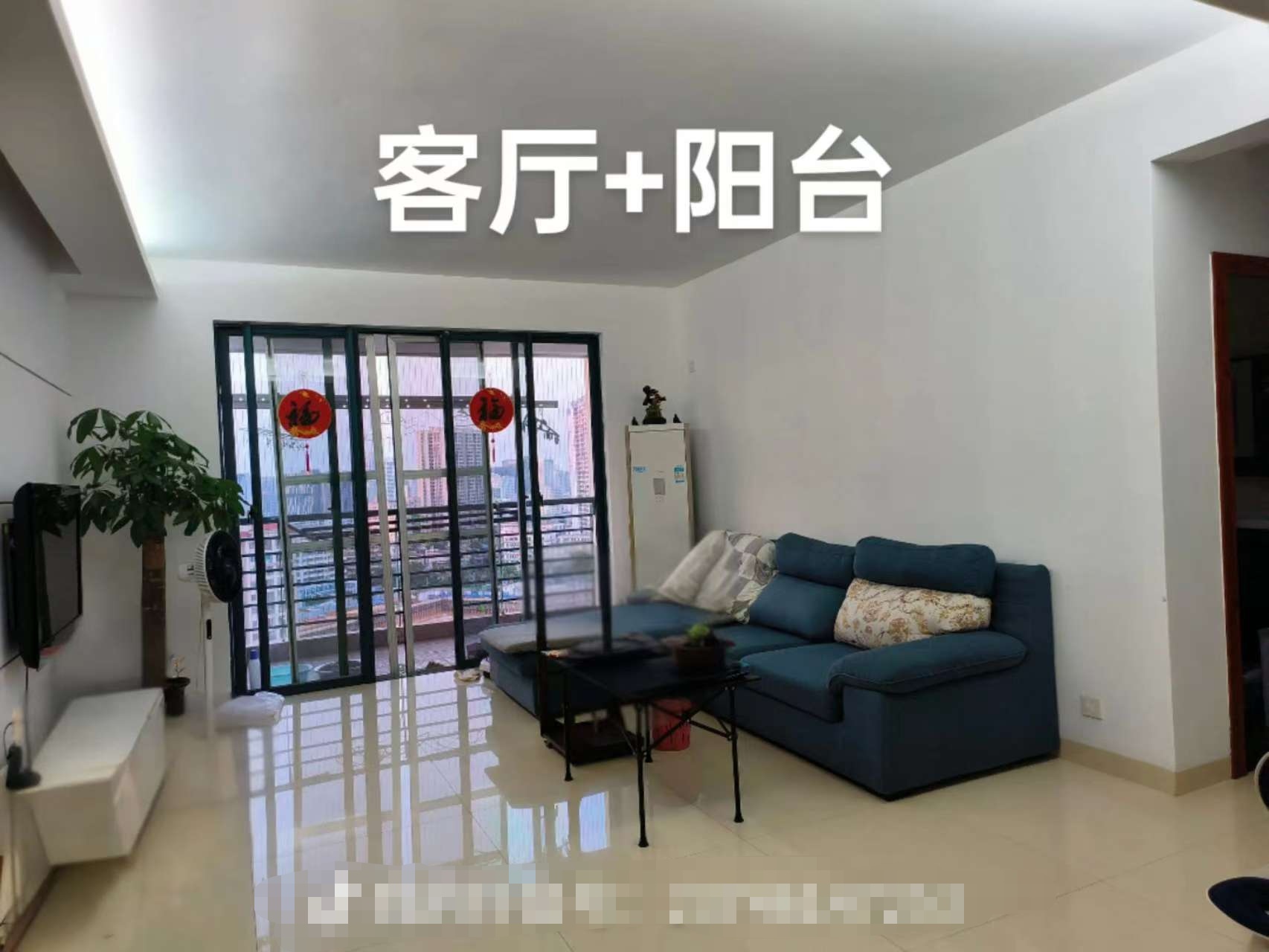 都市森林  3室2厅2卫    206.0万