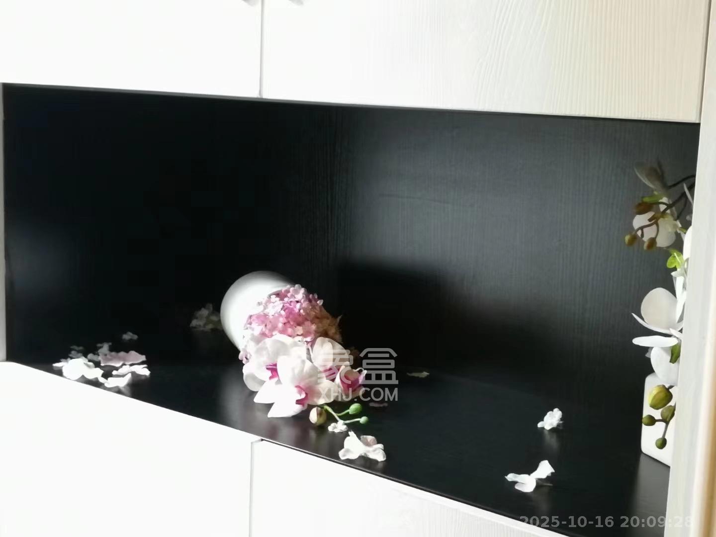 嘉宇银杉（嘉宇西苑）  1室0厅0卫    1600.0元/月室内图