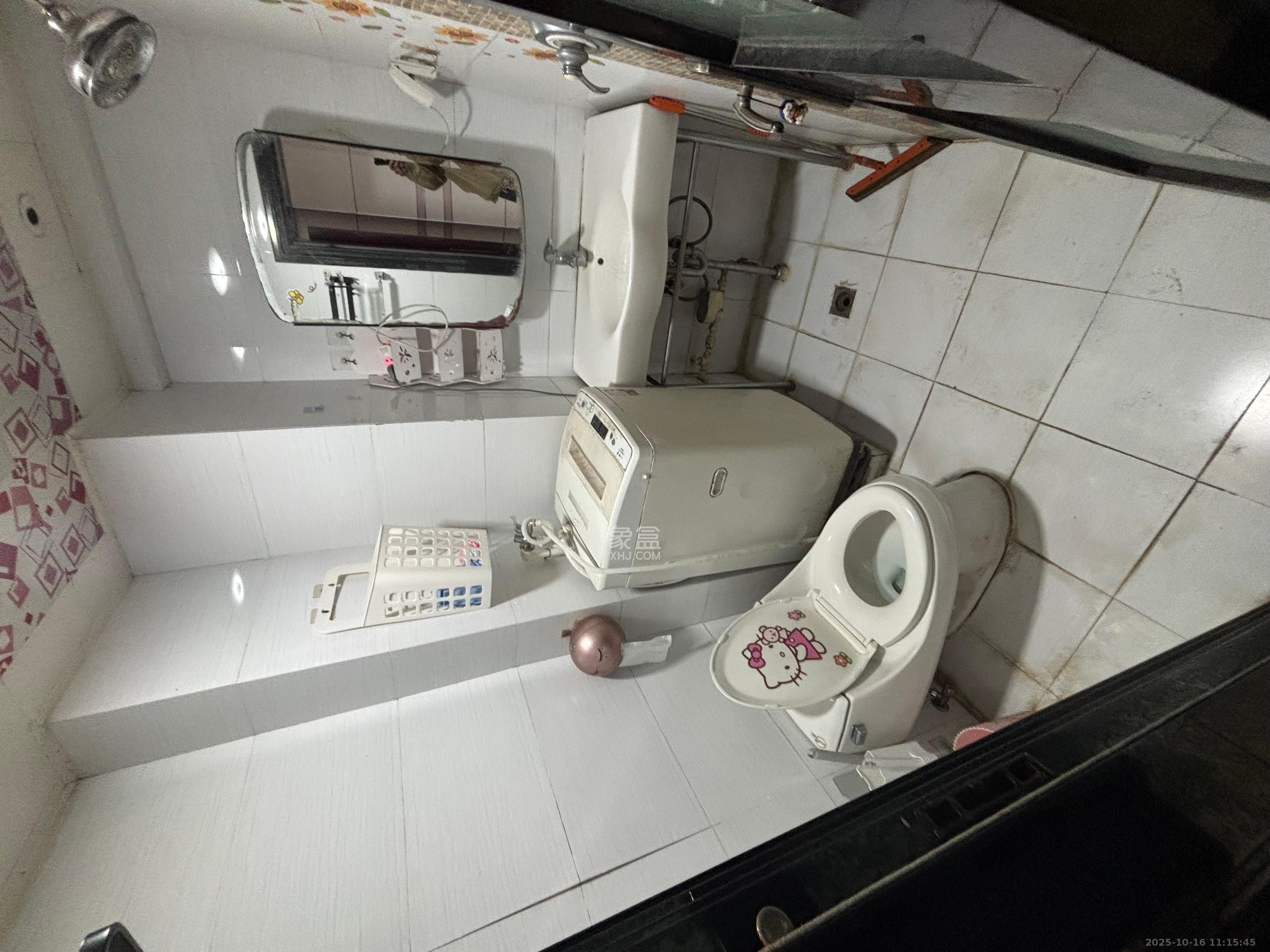 观湖公寓  1室1厅1卫    1500.0元/月室内图