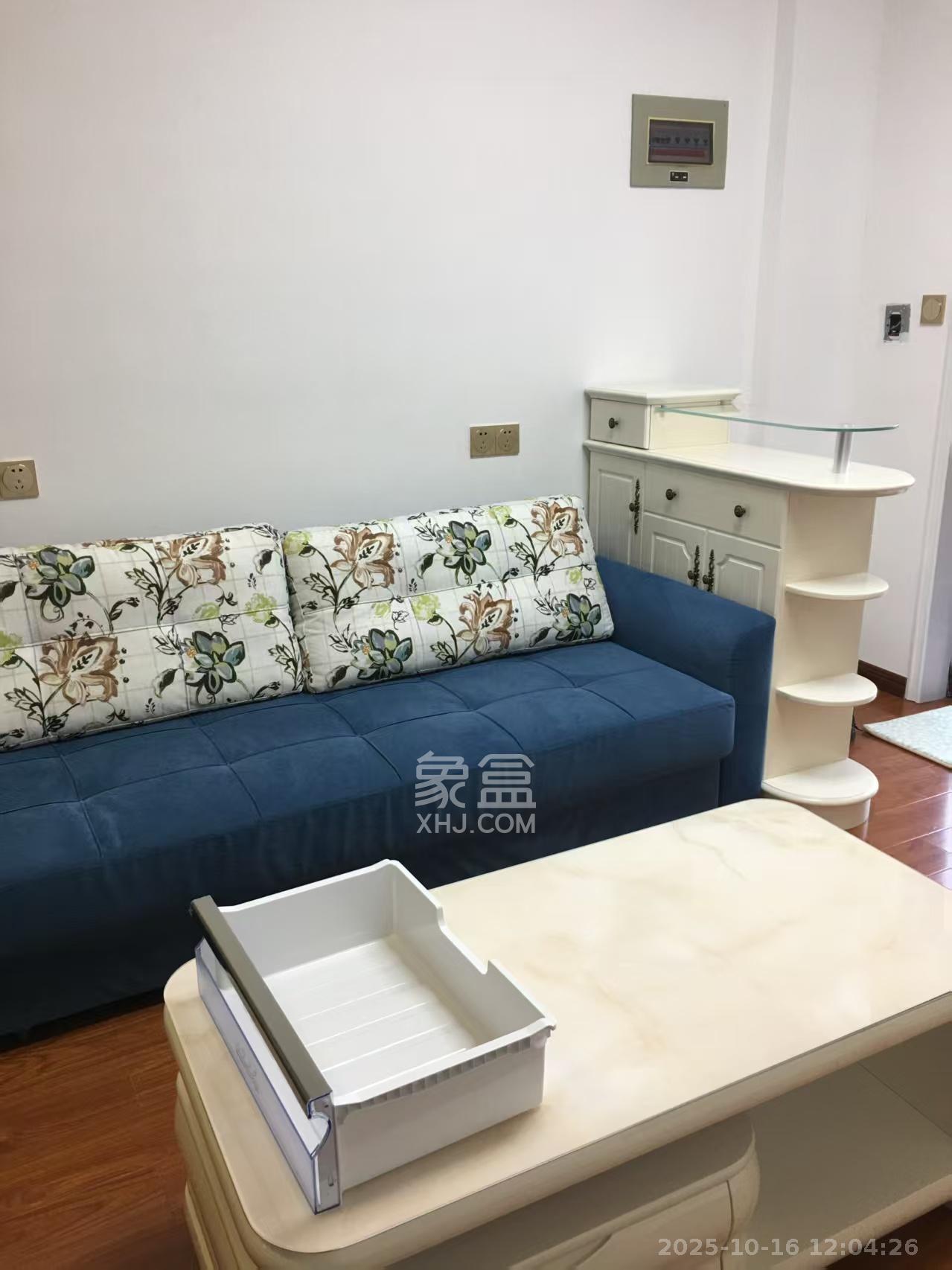 大地金墅  1室1厅1卫    2200.0元/月