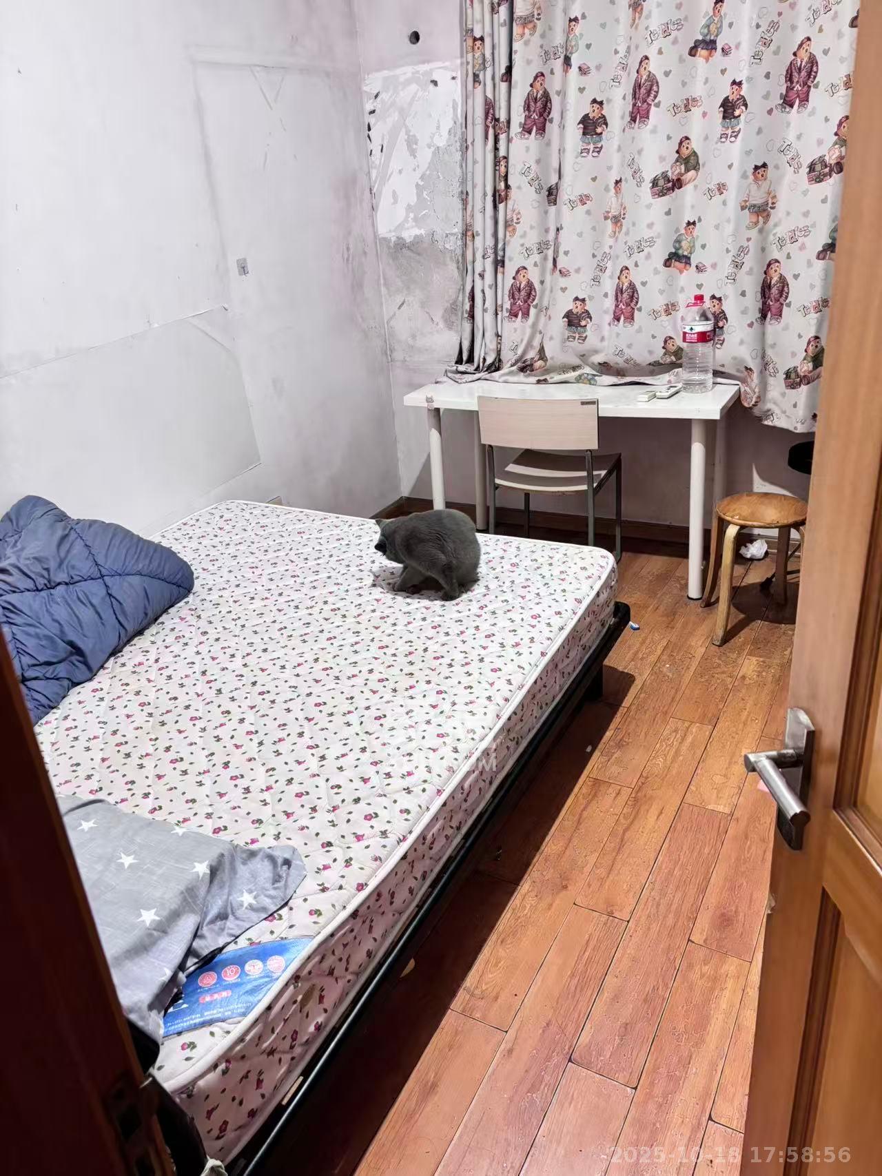 湘樟园小区(湘樟家园) 2室2厅2卫 1200.0元/月 湘樟园小区(湘樟家园) 2室2厅2卫 1200.0元/月室内图