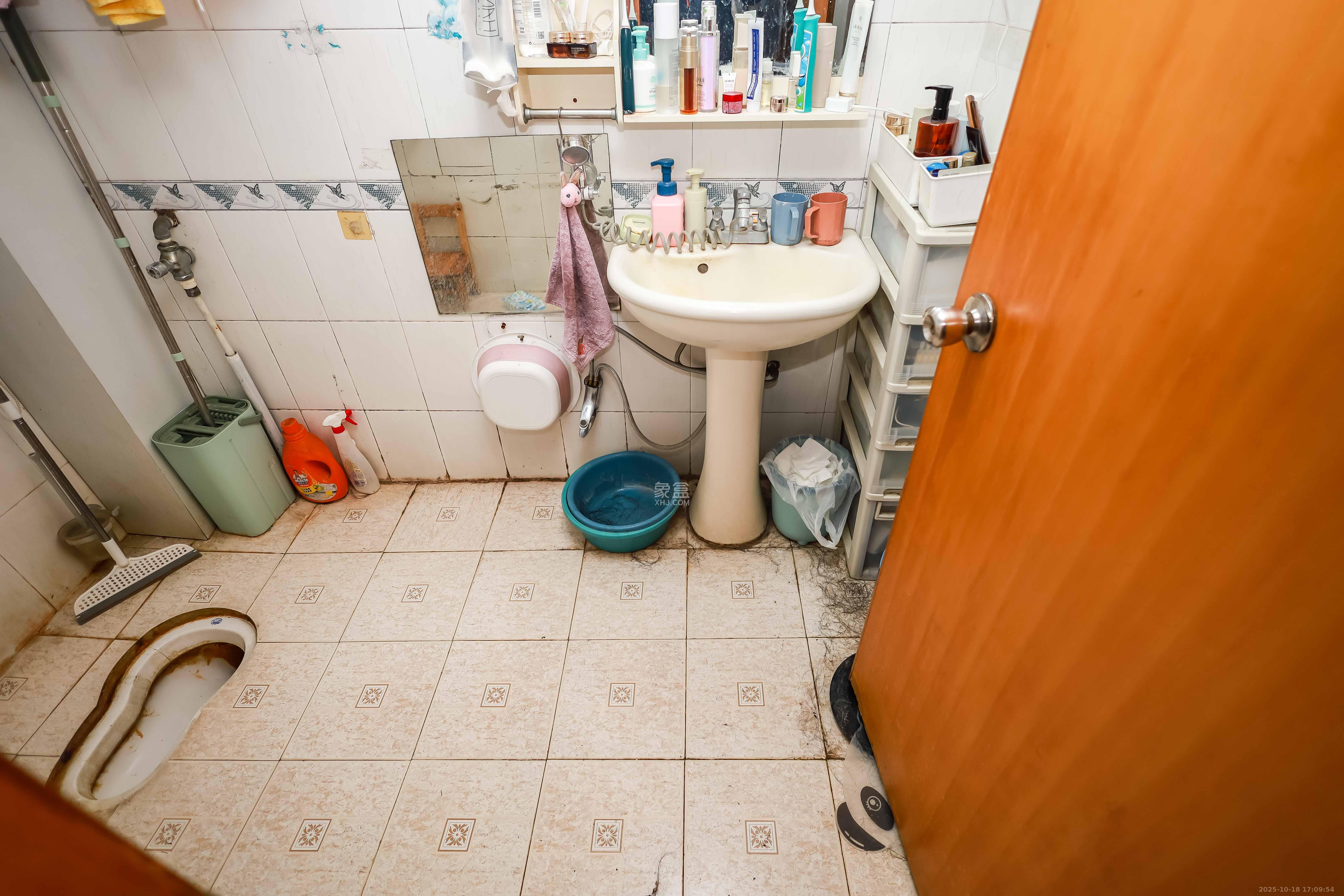 丽臣小区  2室2厅1卫    52.8万卫生间