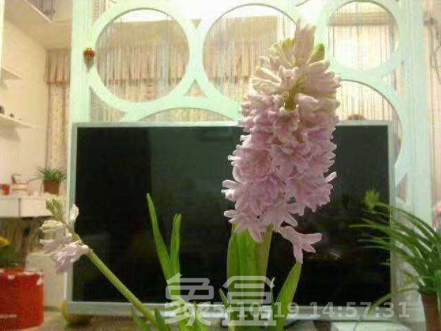 凯轩云顶  1室1厅1卫    1500.0元/月 凯轩云顶  1室1厅1卫    1500.0元/月室内图