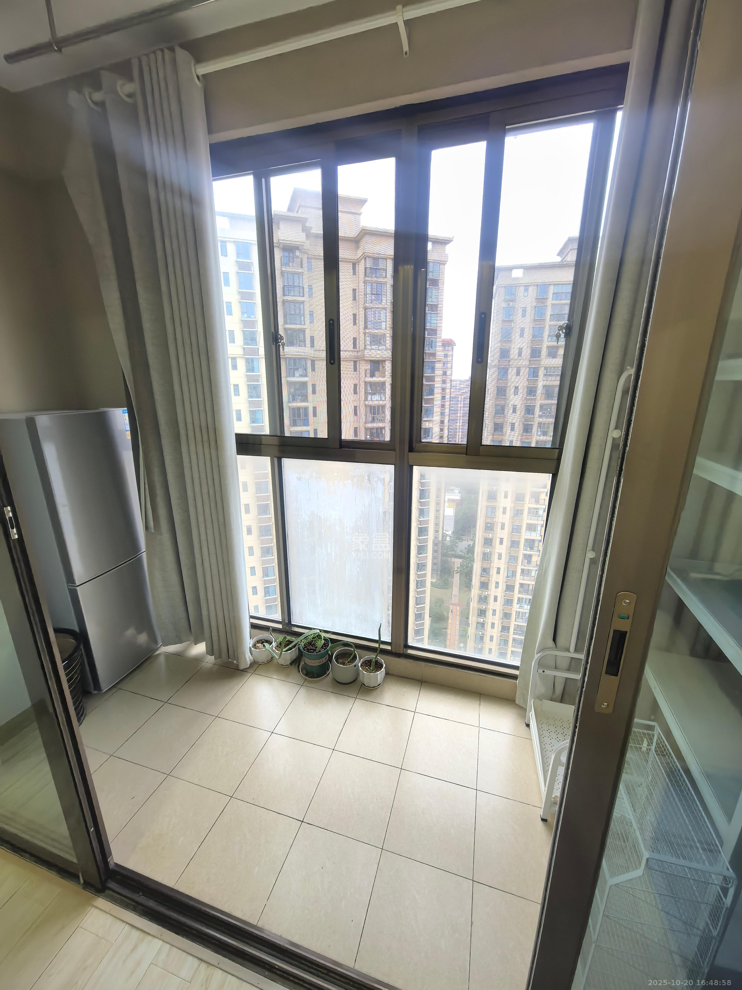 江山帝景哈佛 1室1厅1卫 1300.0元/月 江山帝景哈佛 1室1厅1卫 1300.0元/月室内图