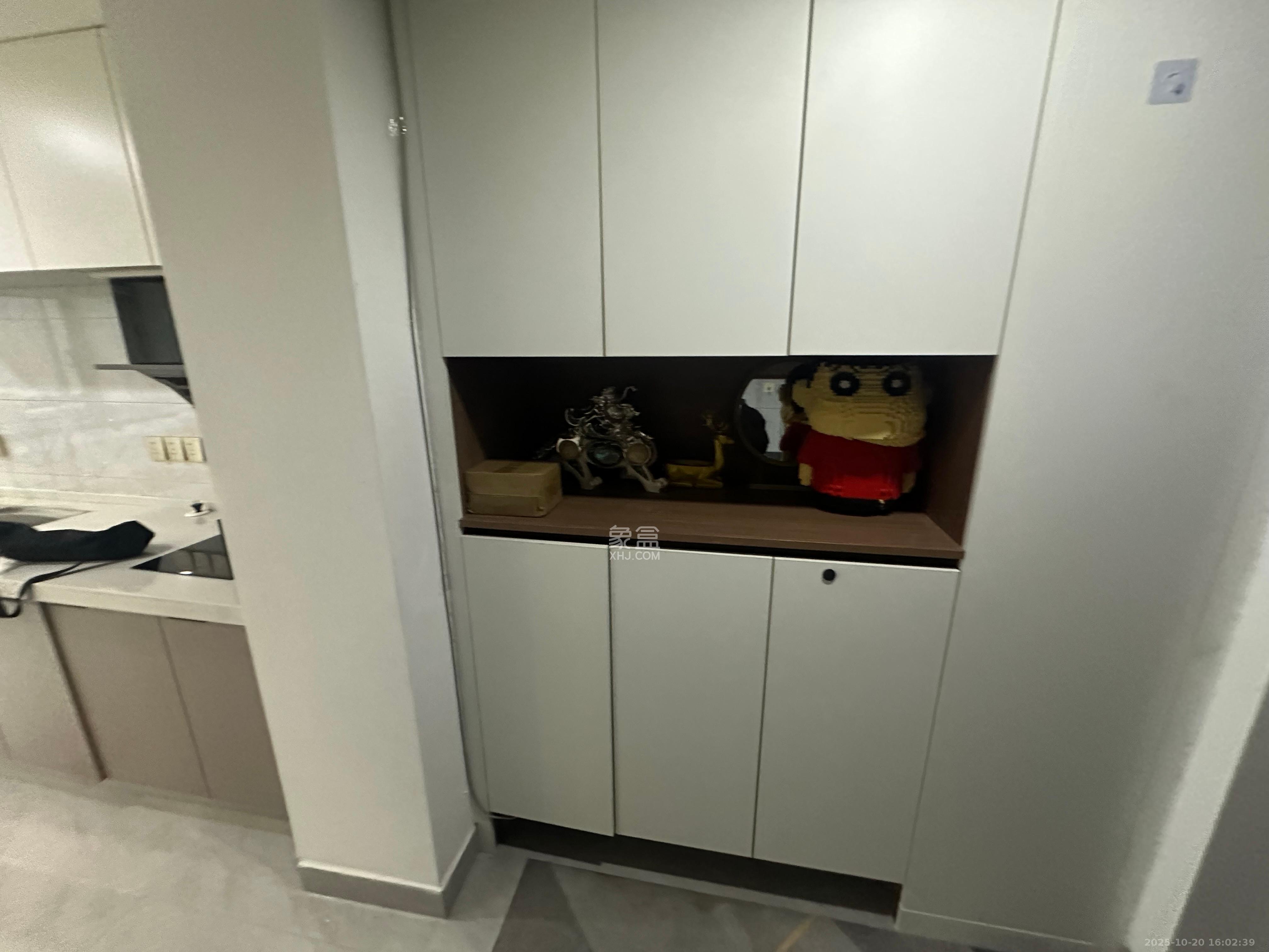 龙湖铂金岛  2室1厅1卫    2300.0元/月室内图