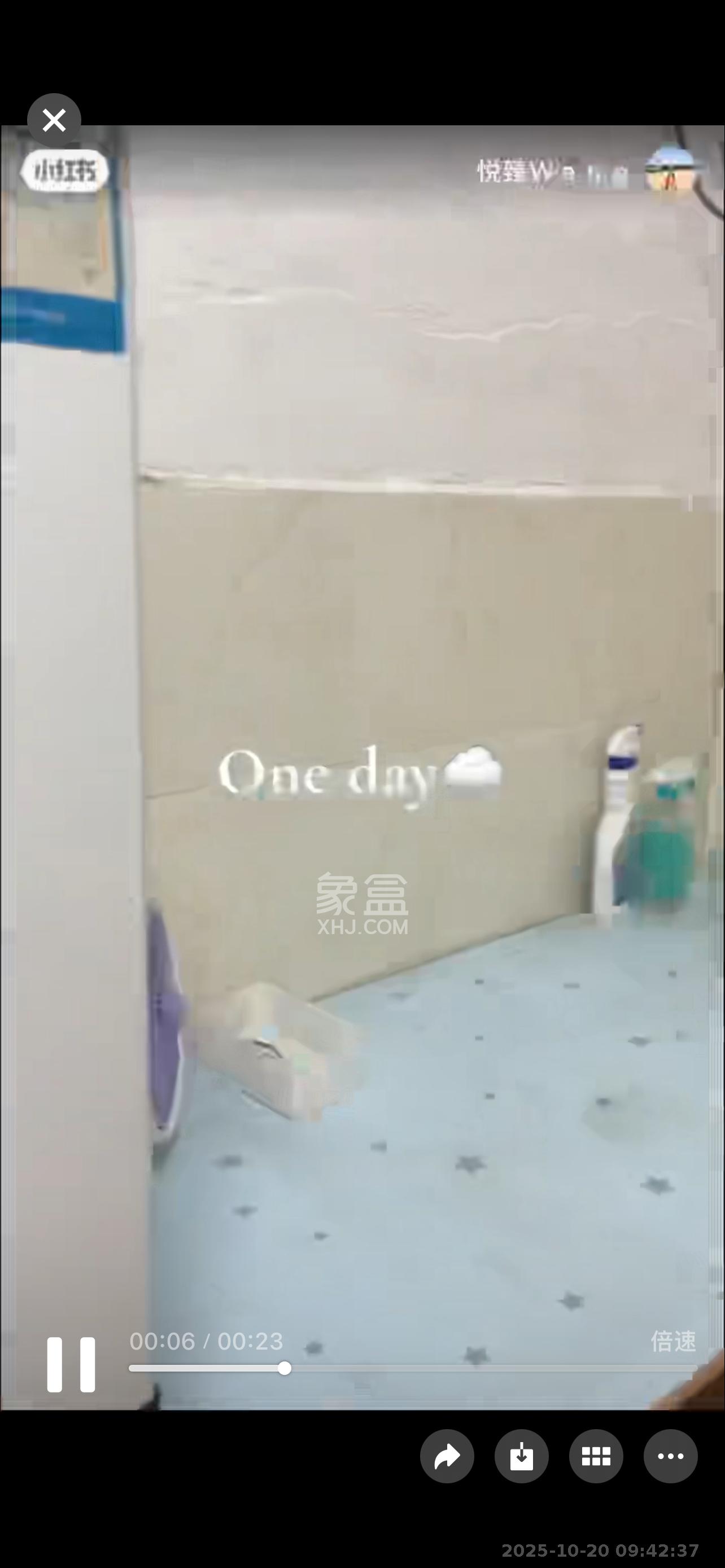 岳华嘉园  1室1厅1卫    1150.0元/月