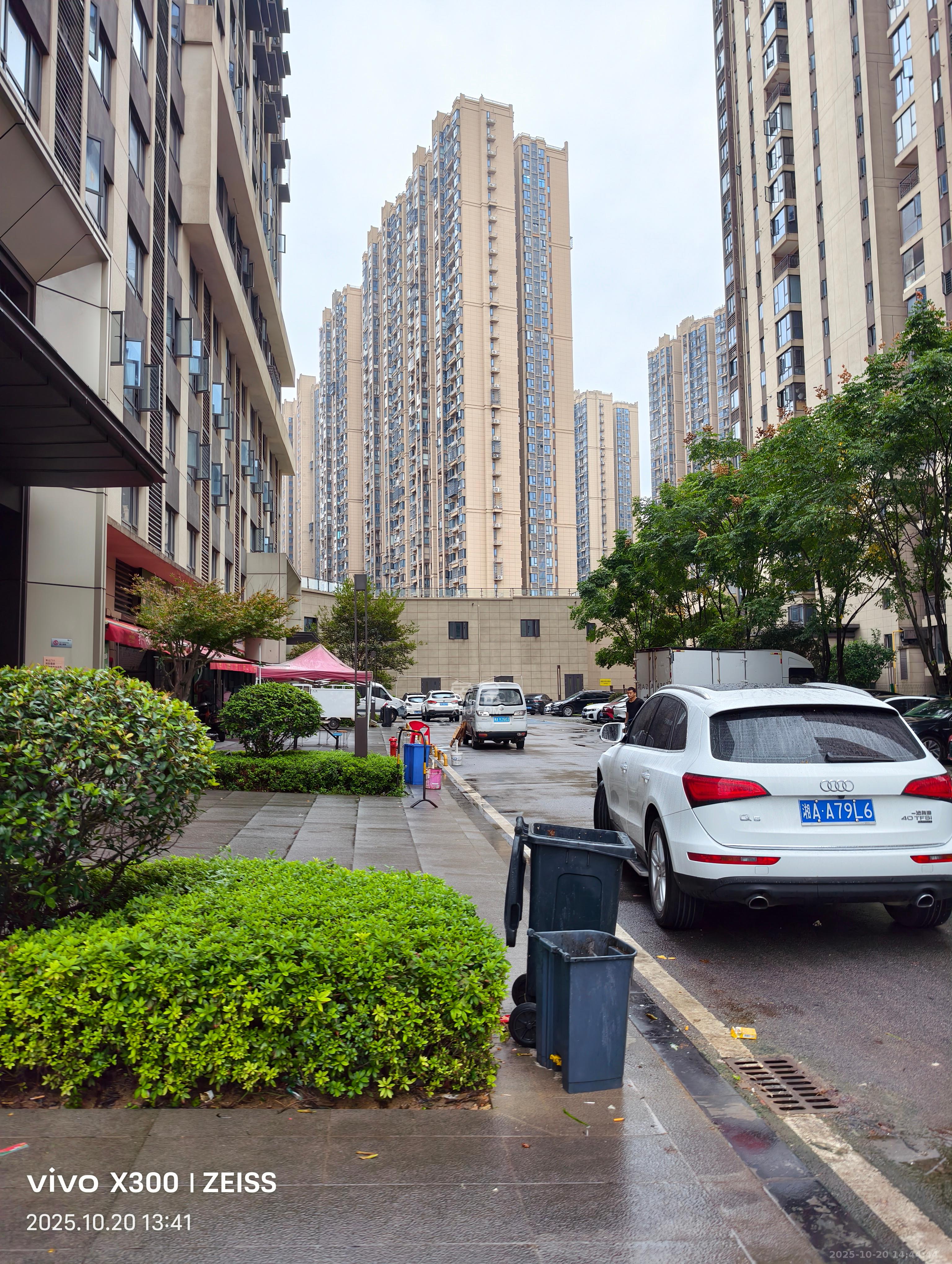 碧桂园翘楚棠   76.0㎡      4000.0元/月室内图