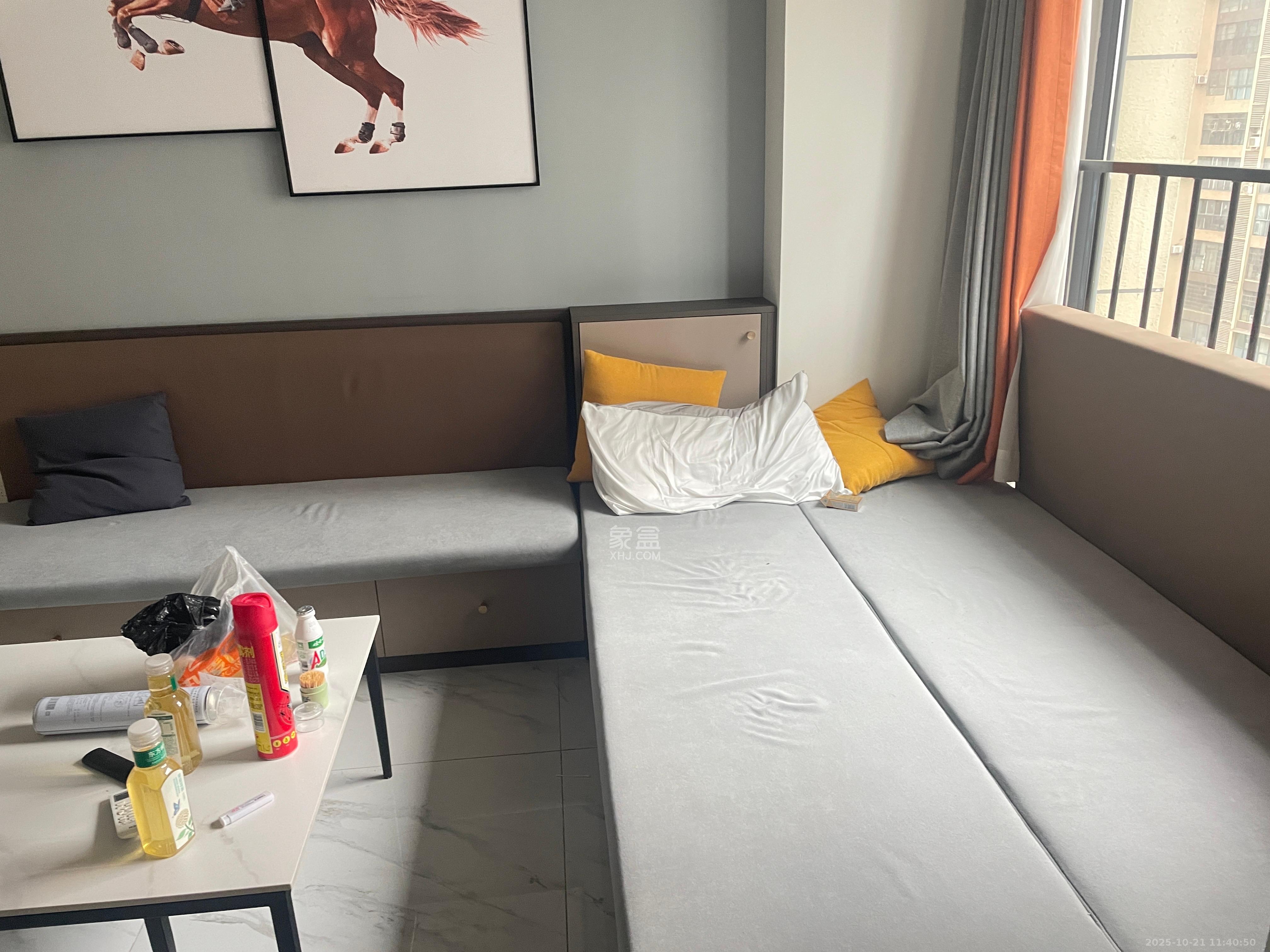 碧桂园城市之光  1室1厅1卫    2000.0元/月室内图