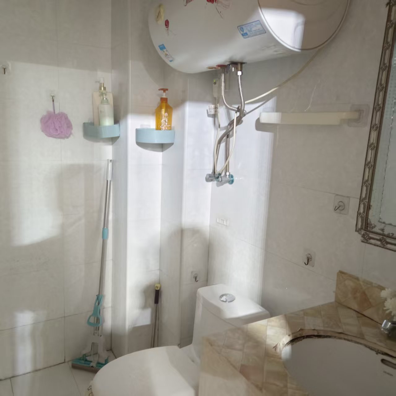 M国际 1室1厅1卫 900.0元/月 M国际 1室1厅1卫 900.0元/月室内图