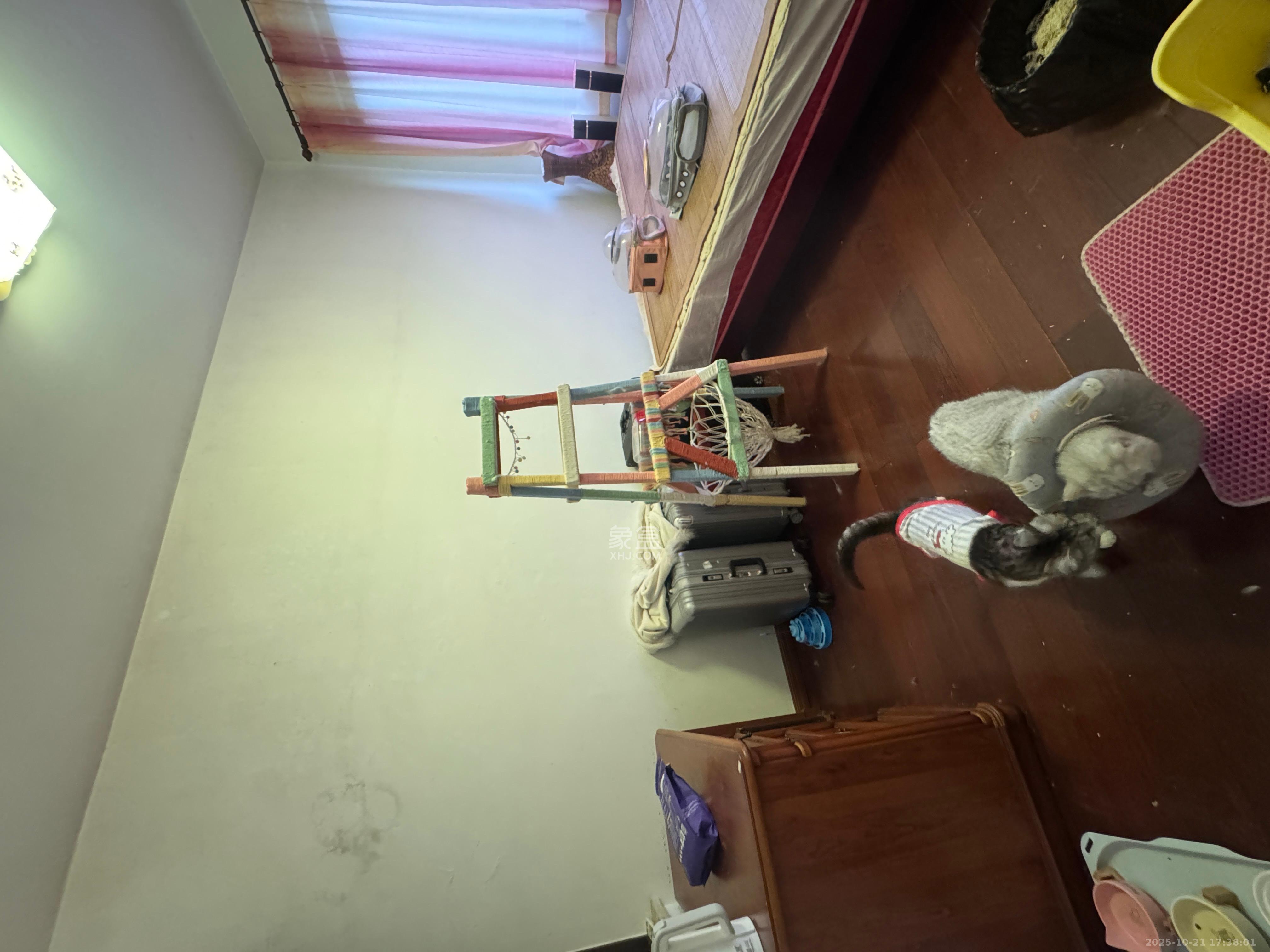 山水芙蓉国际新城  5室2厅2卫    6500.0元/月 山水芙蓉国际新城  5室2厅2卫    6500.0元/月室内图