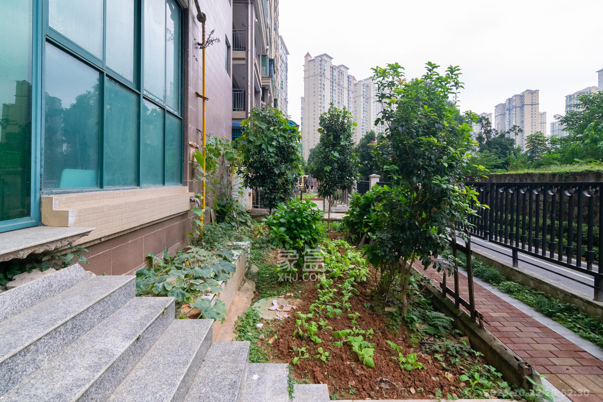 富基世纪公园  3室2厅2卫    65.0万其他