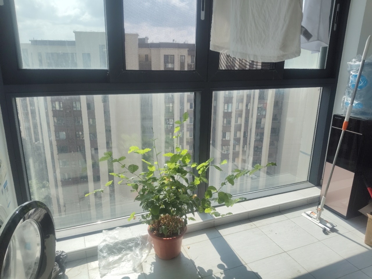 绿地城逸园 1室2厅2卫 110.0万 绿地城逸园 1室2厅2卫 110.0万客厅