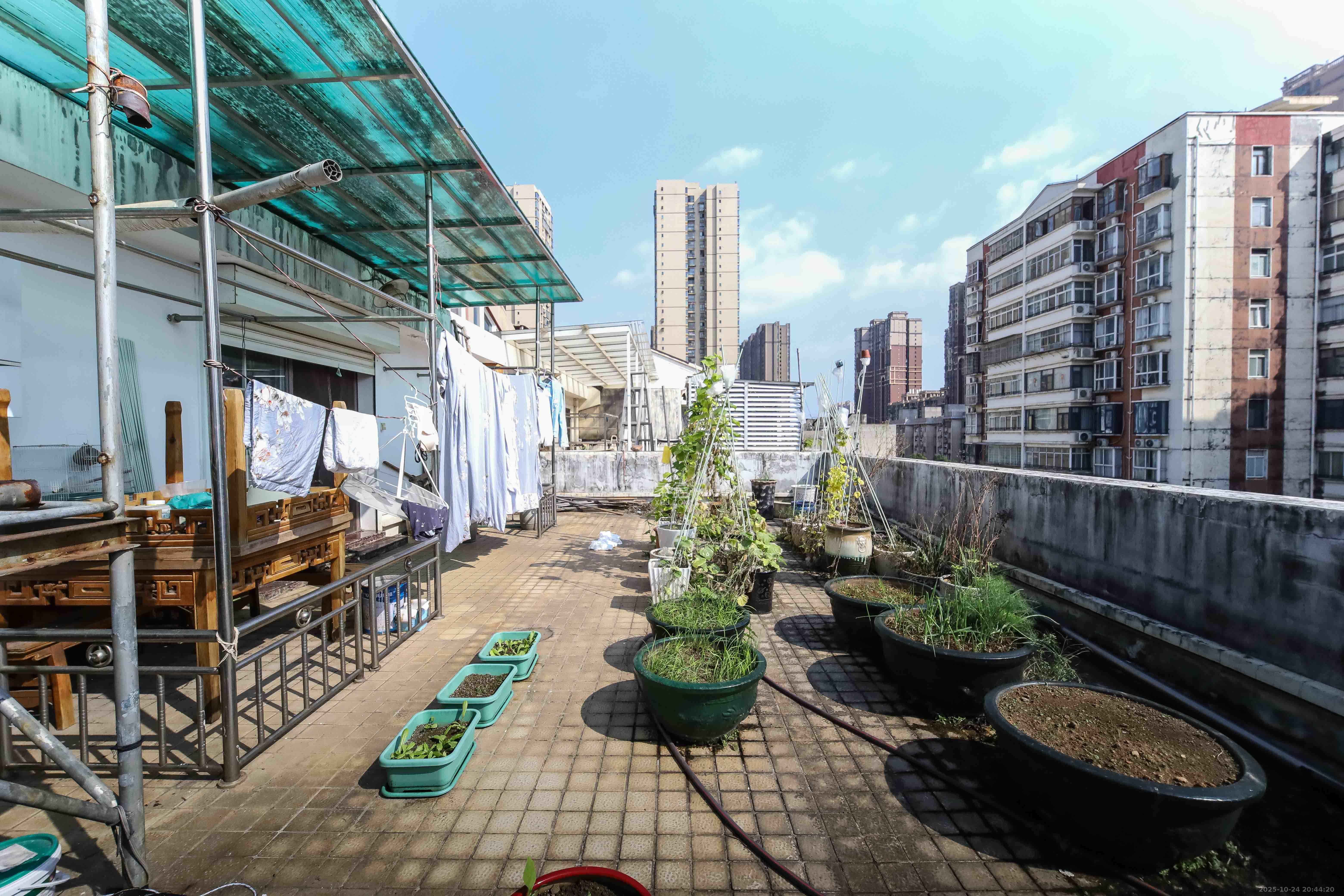 惠泽园  5室2厅4卫    242.0万其他