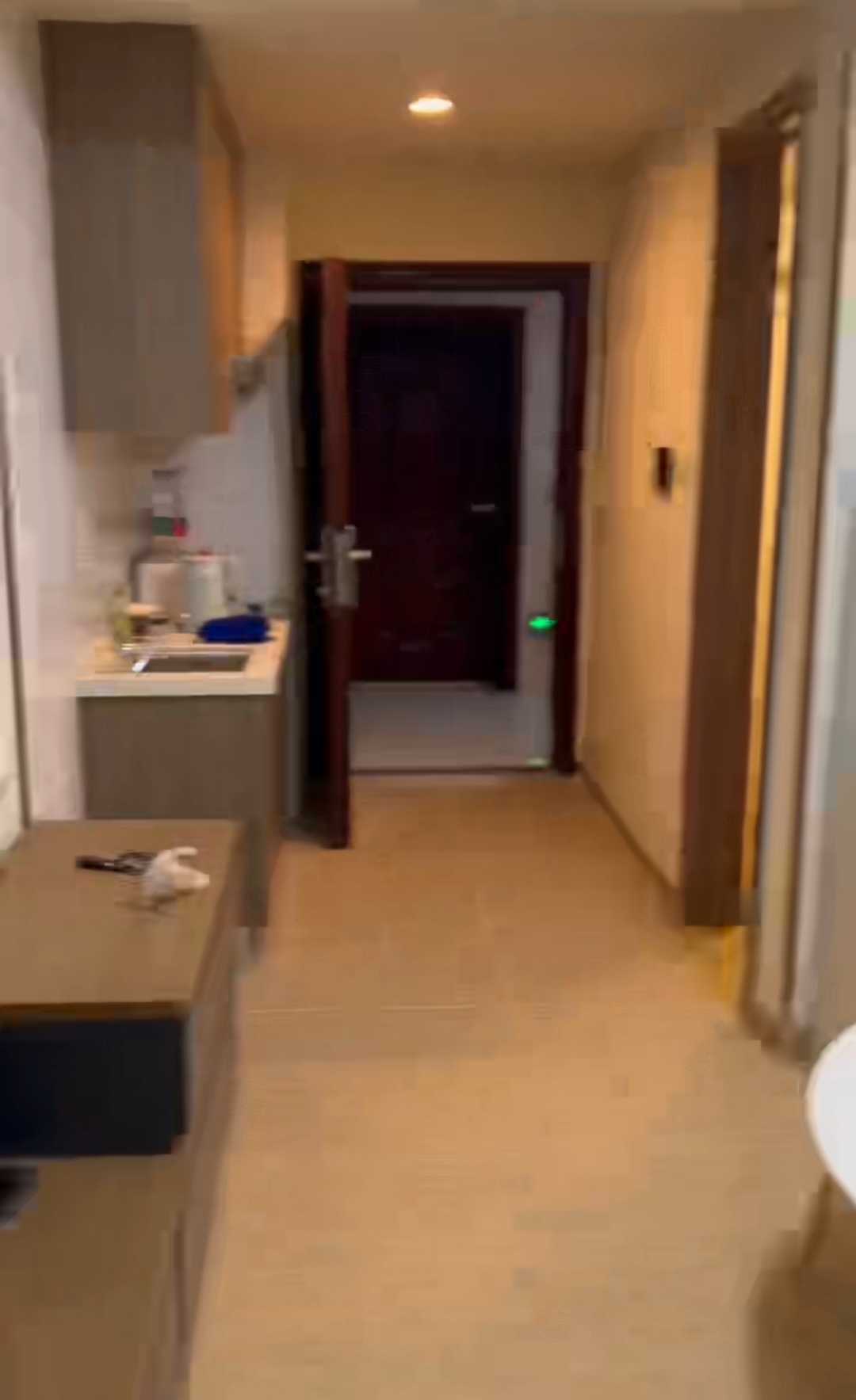 碧桂园翘楚棠  1室1厅1卫    700.0元/月室内图