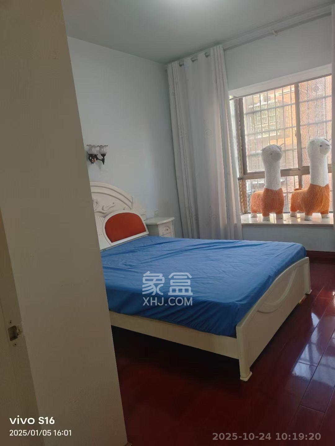 白田安置小区  3室2厅2卫    2500.0元/月室内图