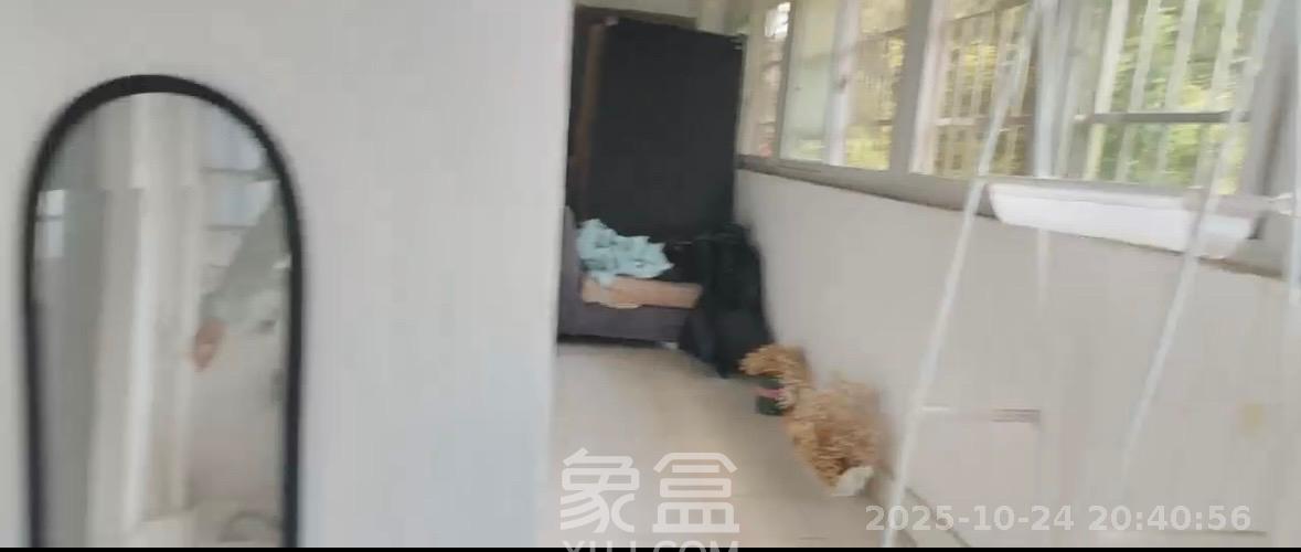 东南明苑 2室1厅1卫 2000.0元/月 东南明苑 2室1厅1卫 2000.0元/月室内图