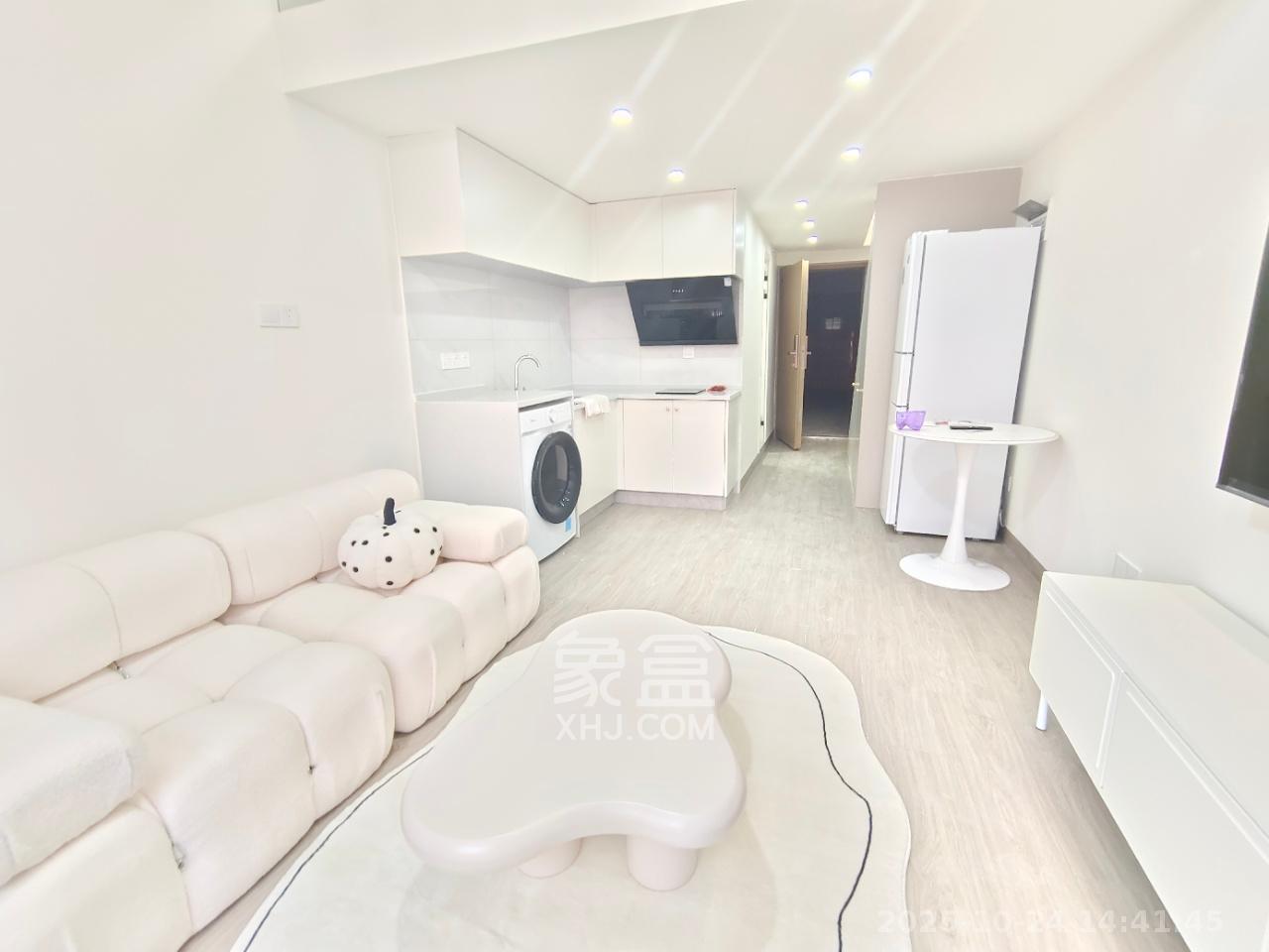 卓越江岸  1室1厅1卫    2500.0元/月室内图1