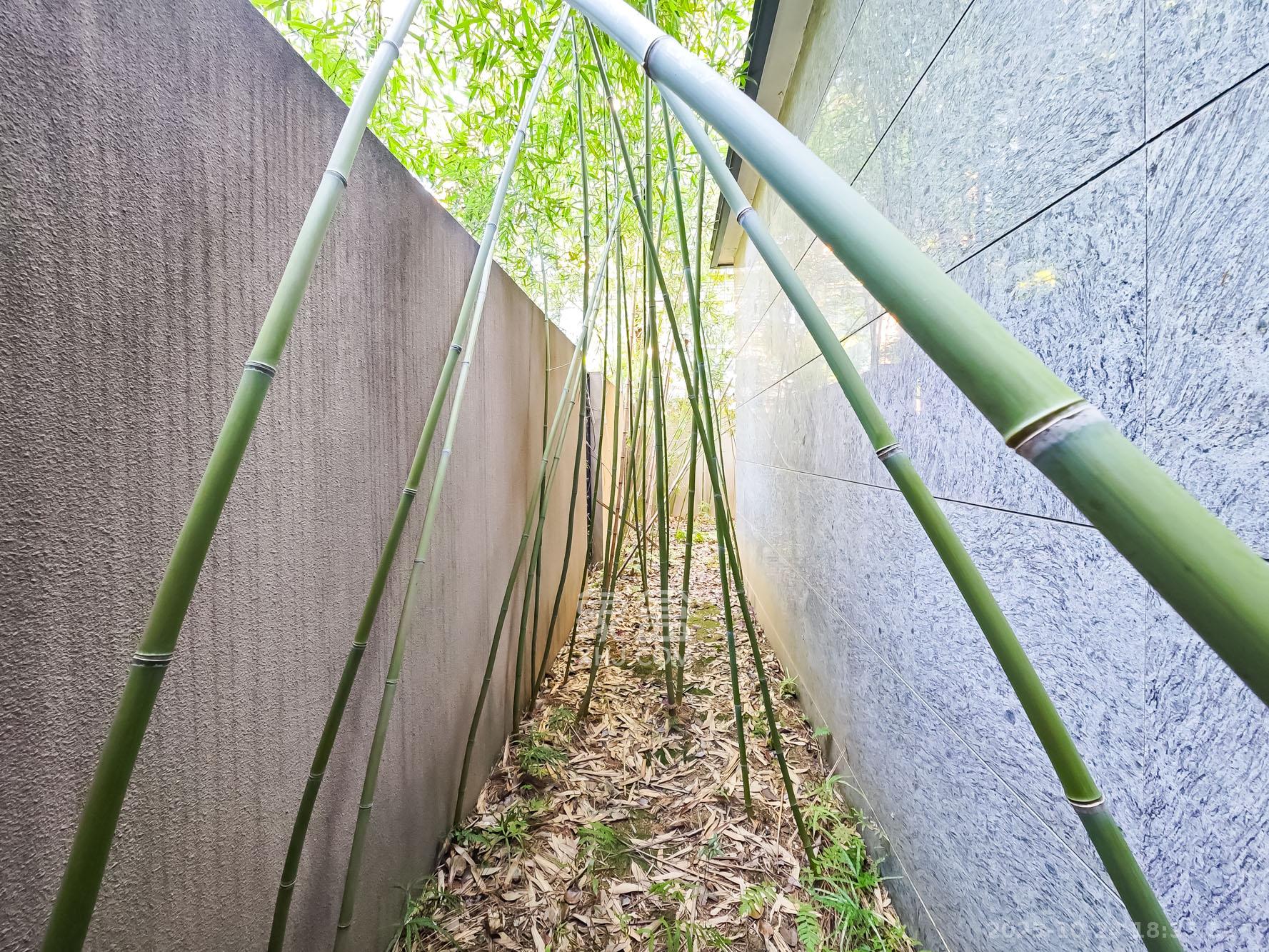 湘江壹号一二三期（创远湘江壹号）  5室2厅4卫    720.0万其他