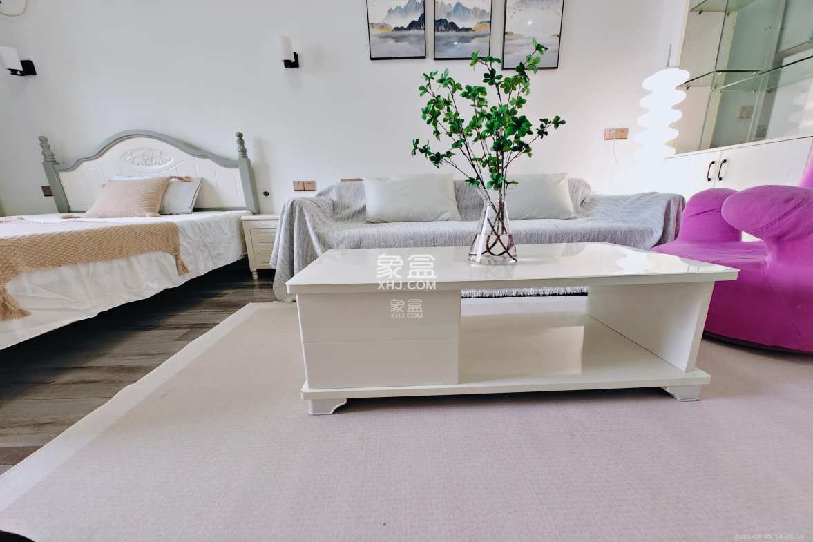 和隆花半里 1室1厅1卫 1700.0元/月 和隆花半里 1室1厅1卫 1700.0元/月室内图