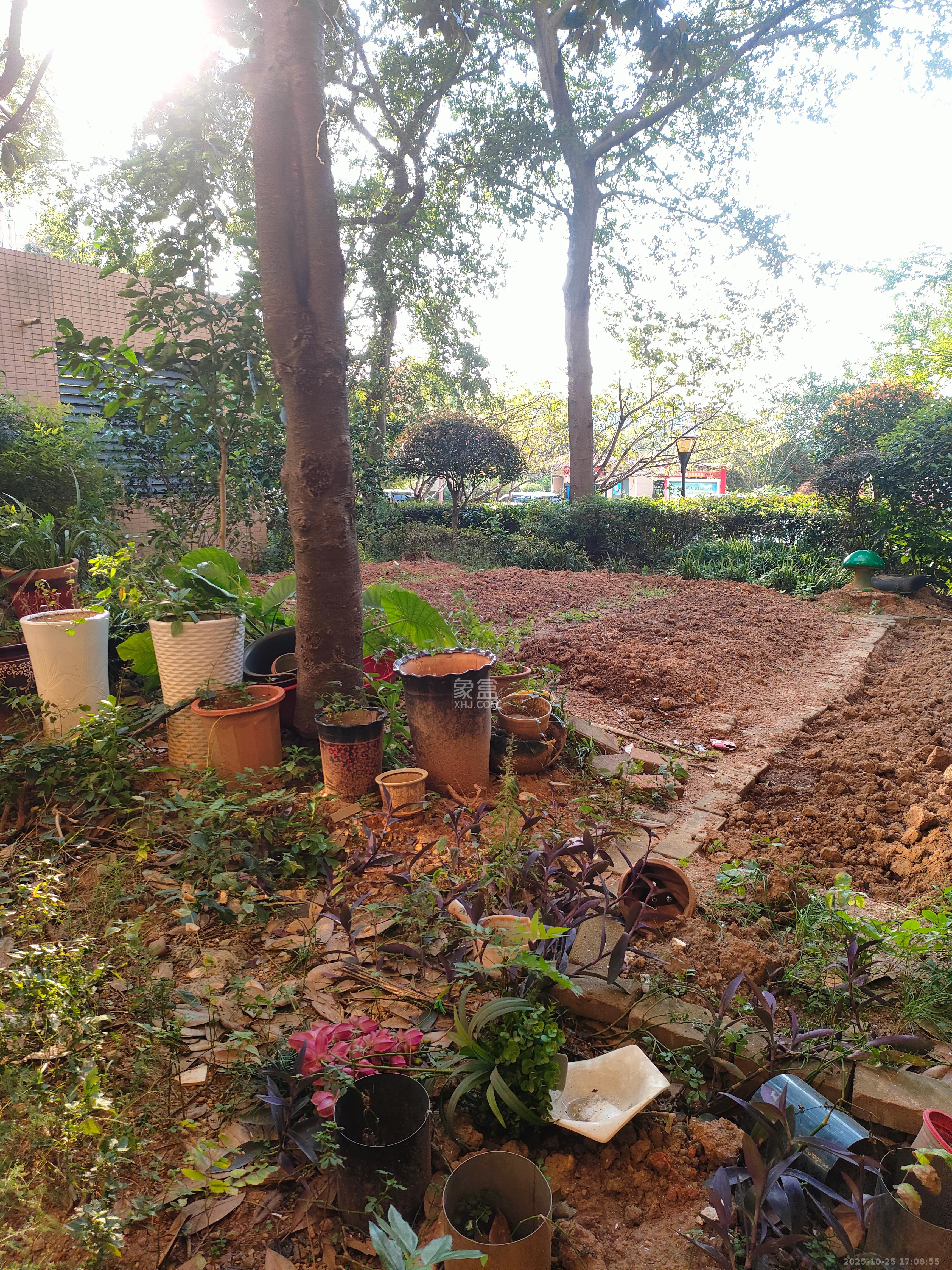 碧桂园威尼斯城  4室2厅2卫    3500.0元/月室内图