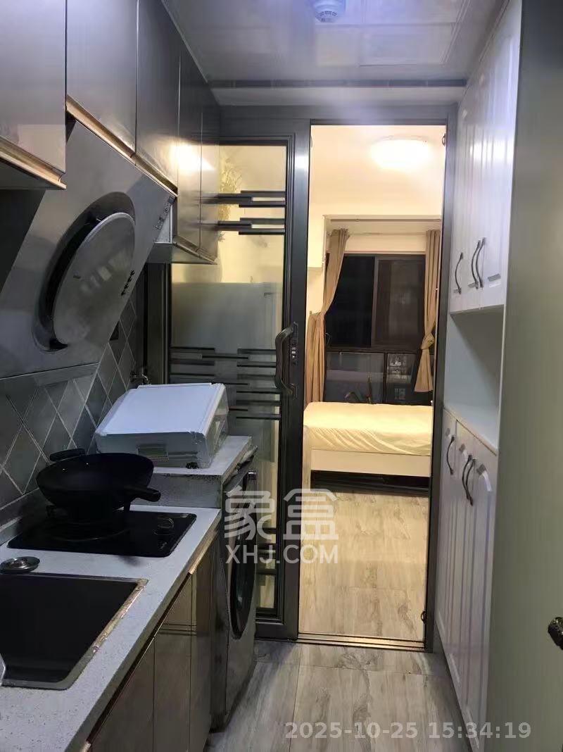 金科时代中心  1室1厅1卫    1000.0元/月