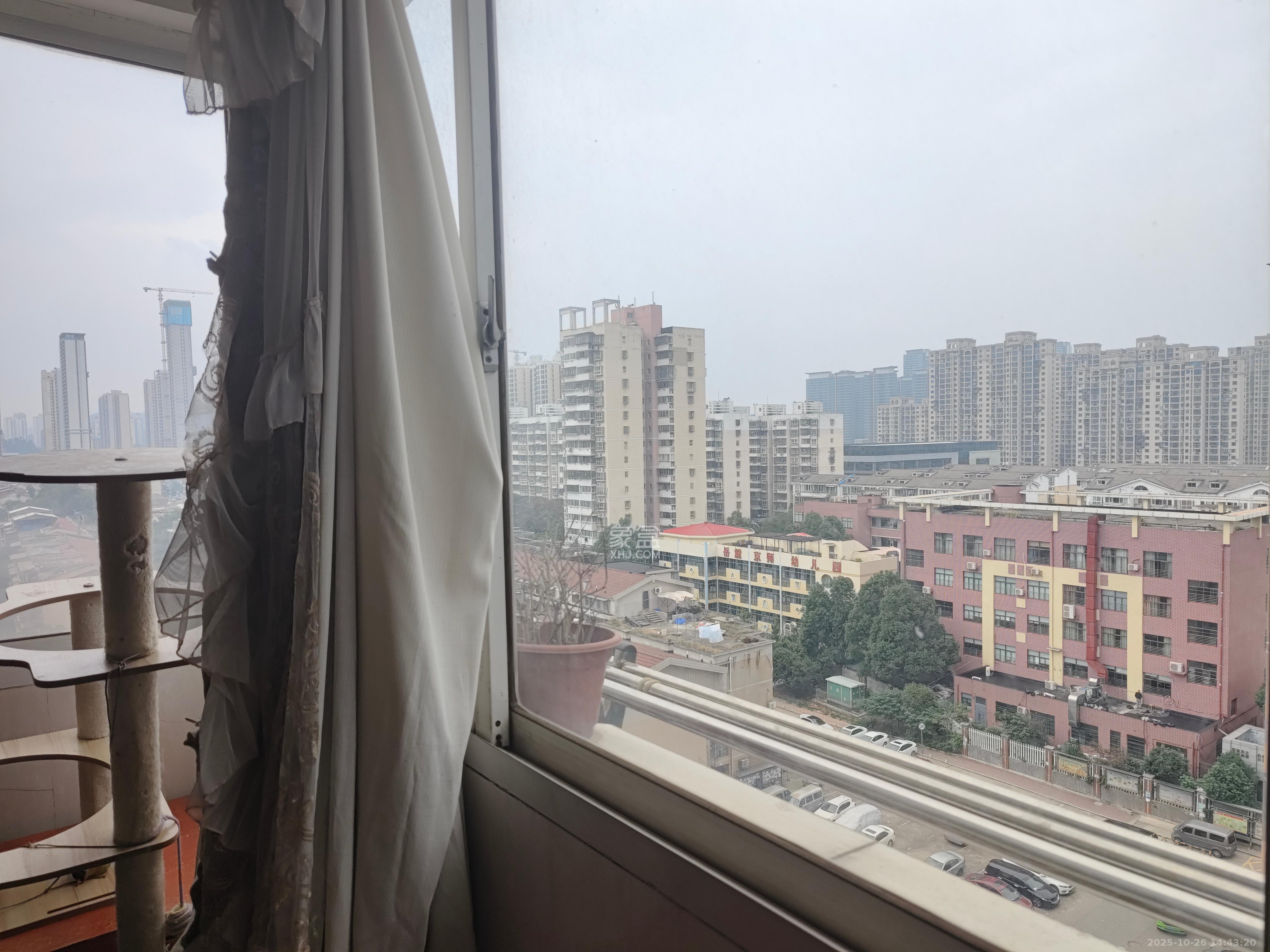 德润园  2室2厅1卫    1900.0元/月室内图