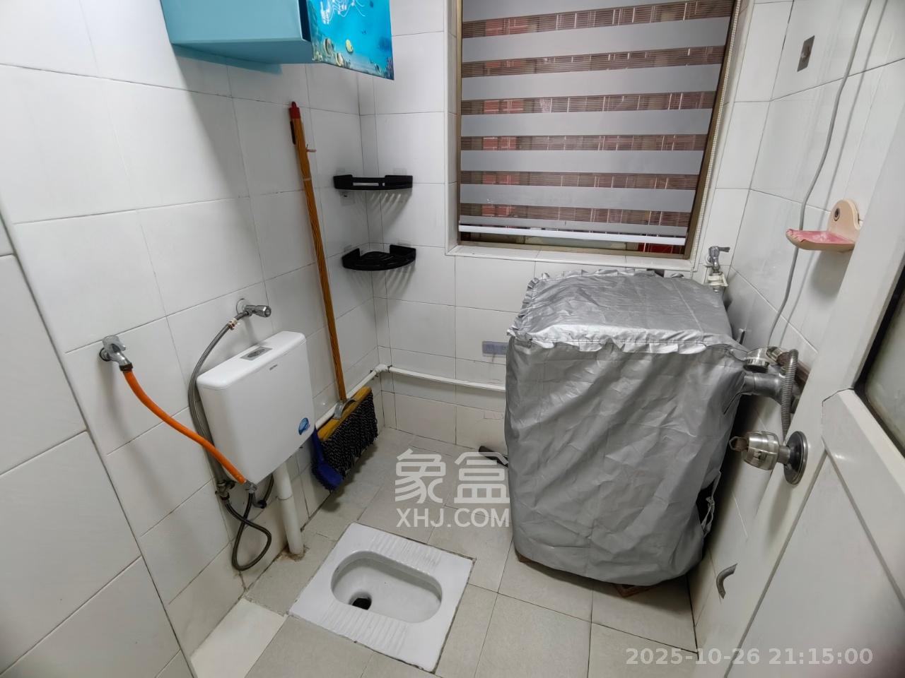 洞井生产安置小区（洞井新兴安置小区）  1室1厅1卫    800.0元/月室内图