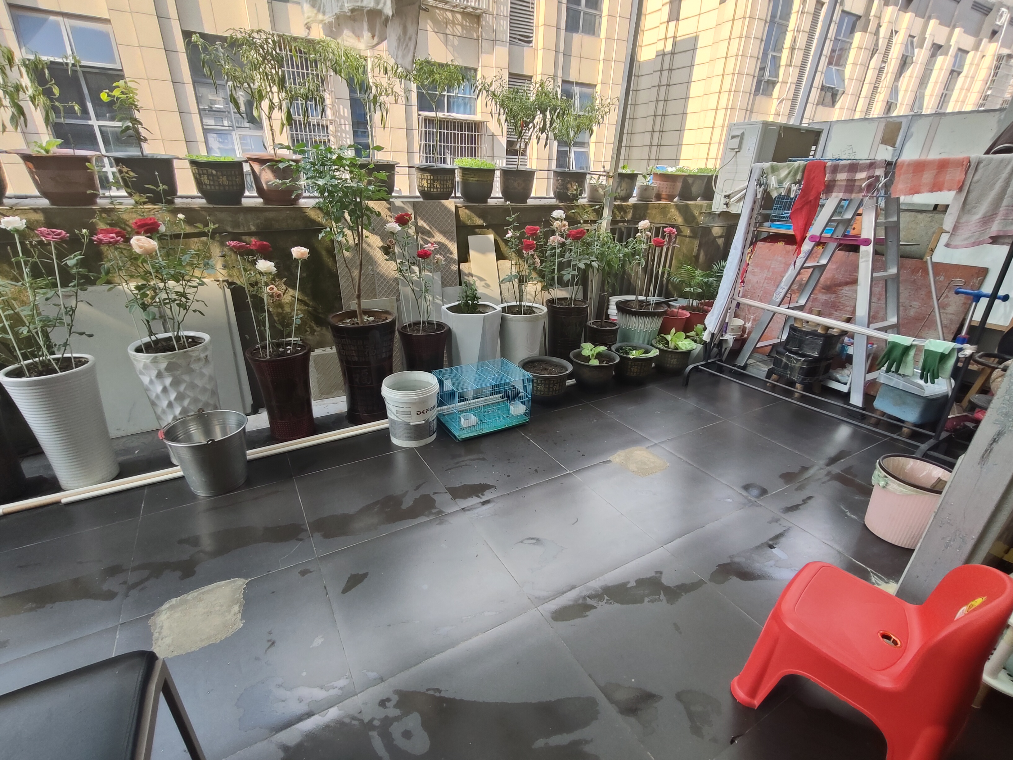 桃花缘  1室1厅1卫    32.8万