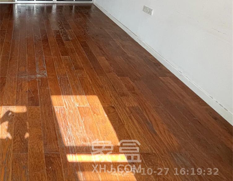 壹号公馆  1室1厅1卫    2100.0元/月