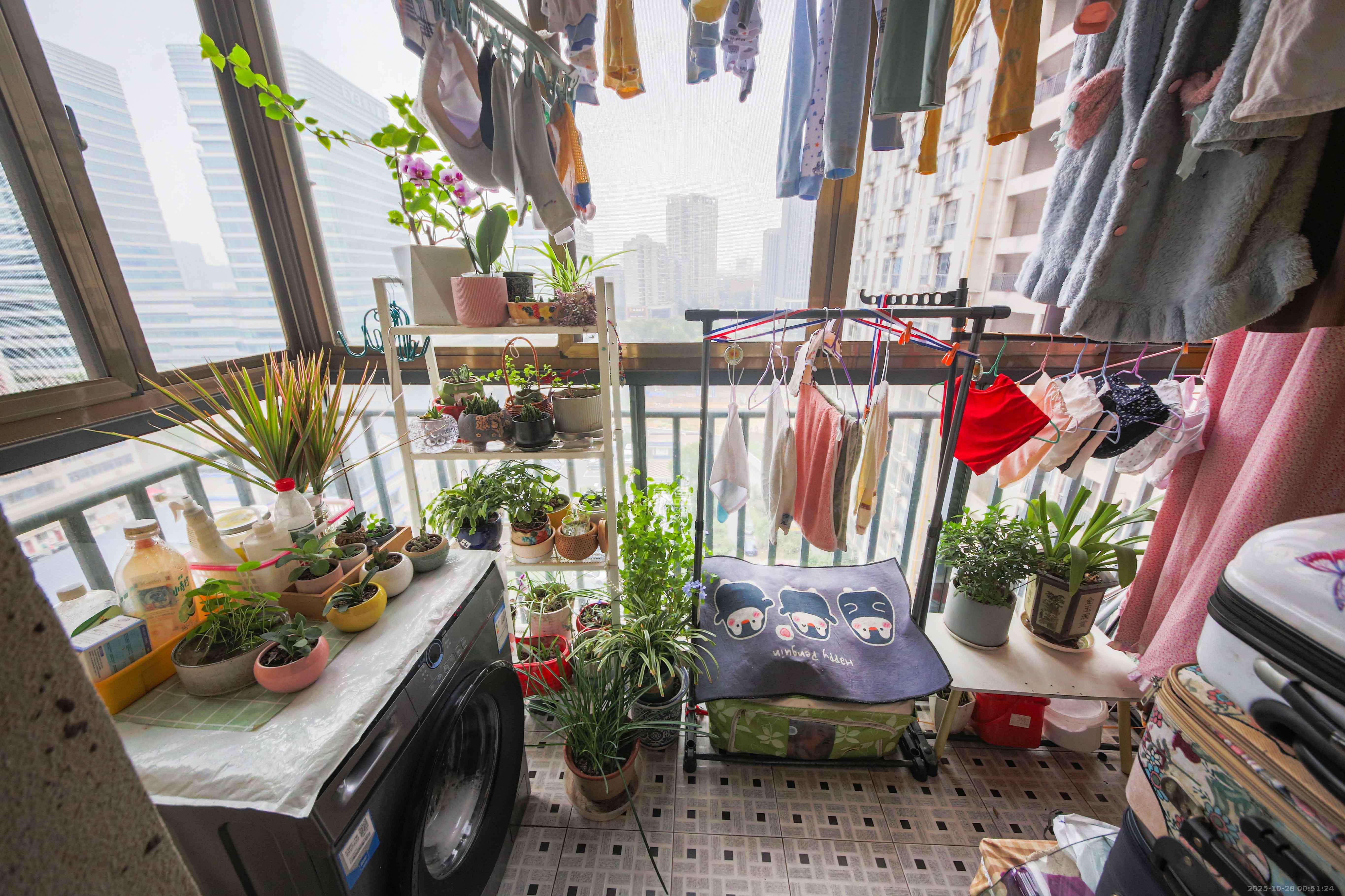 博林金谷 1室1厅1卫 48.0万 博林金谷 1室1厅1卫 48.0万阳台