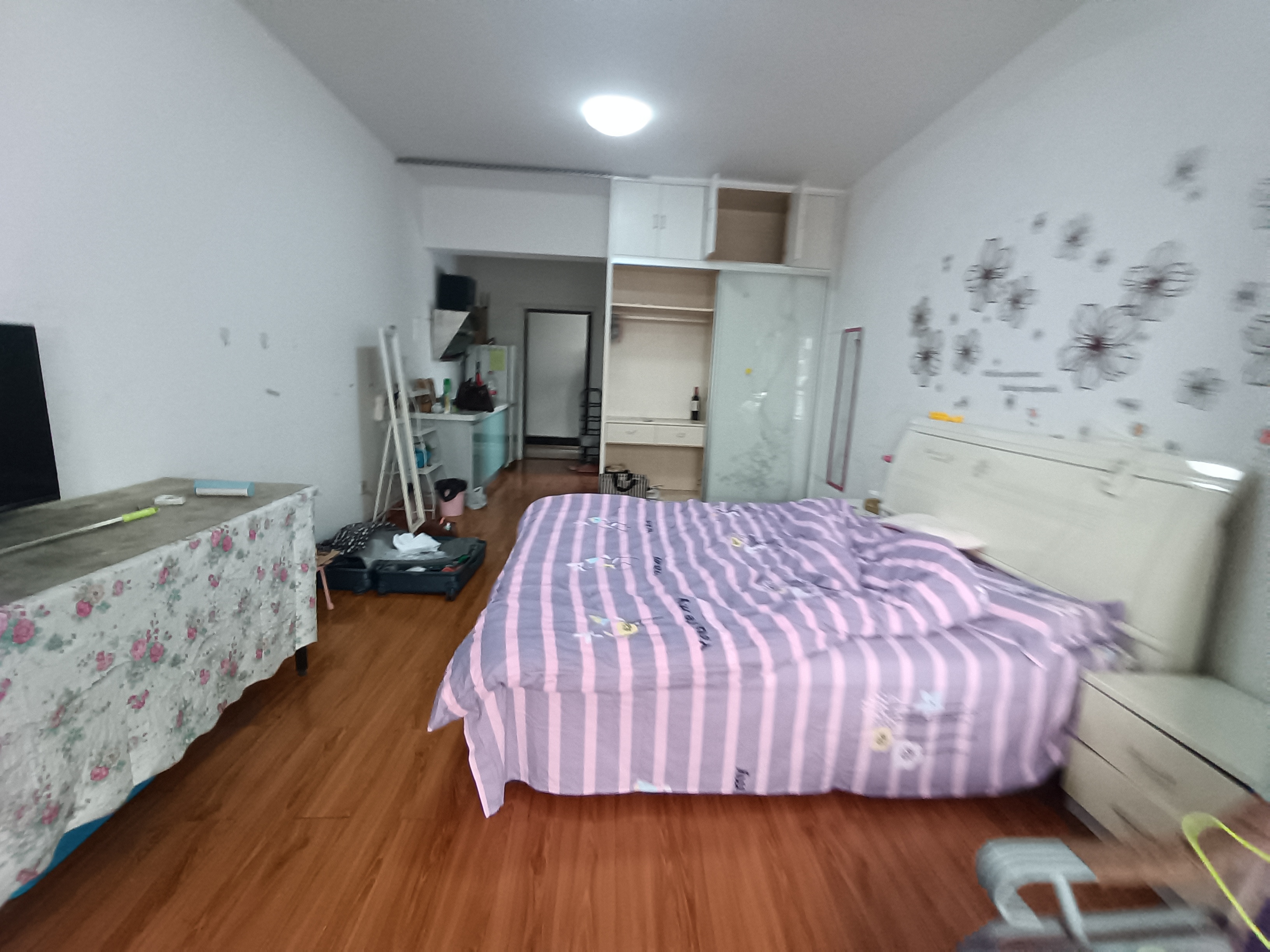 逸景华天 1室1厅1卫 25.0万 逸景华天 1室1厅1卫 25.0万室内图